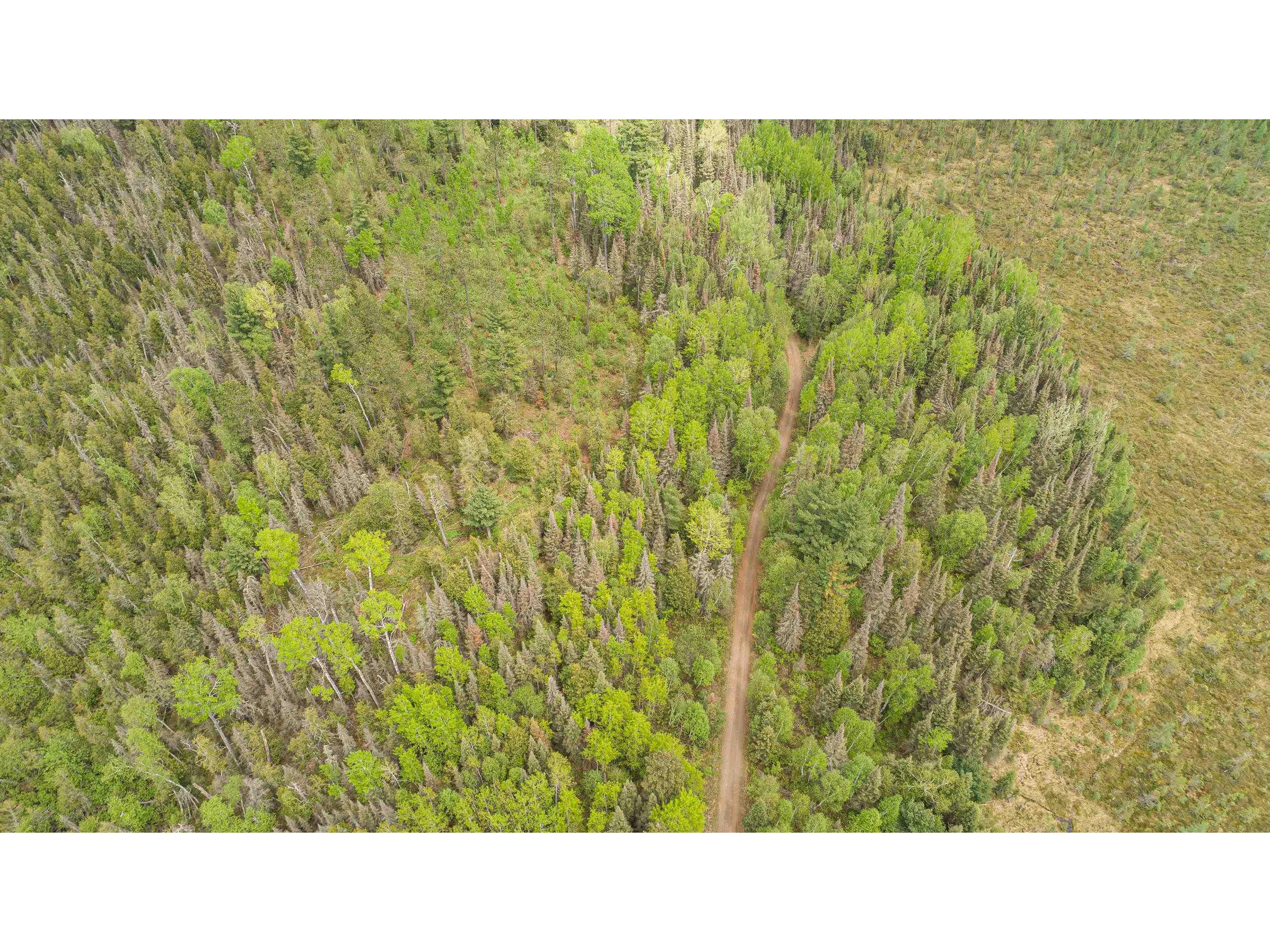 TBD Victor Lake Rd Isabella MN 55607 - Victor 6123597 image22