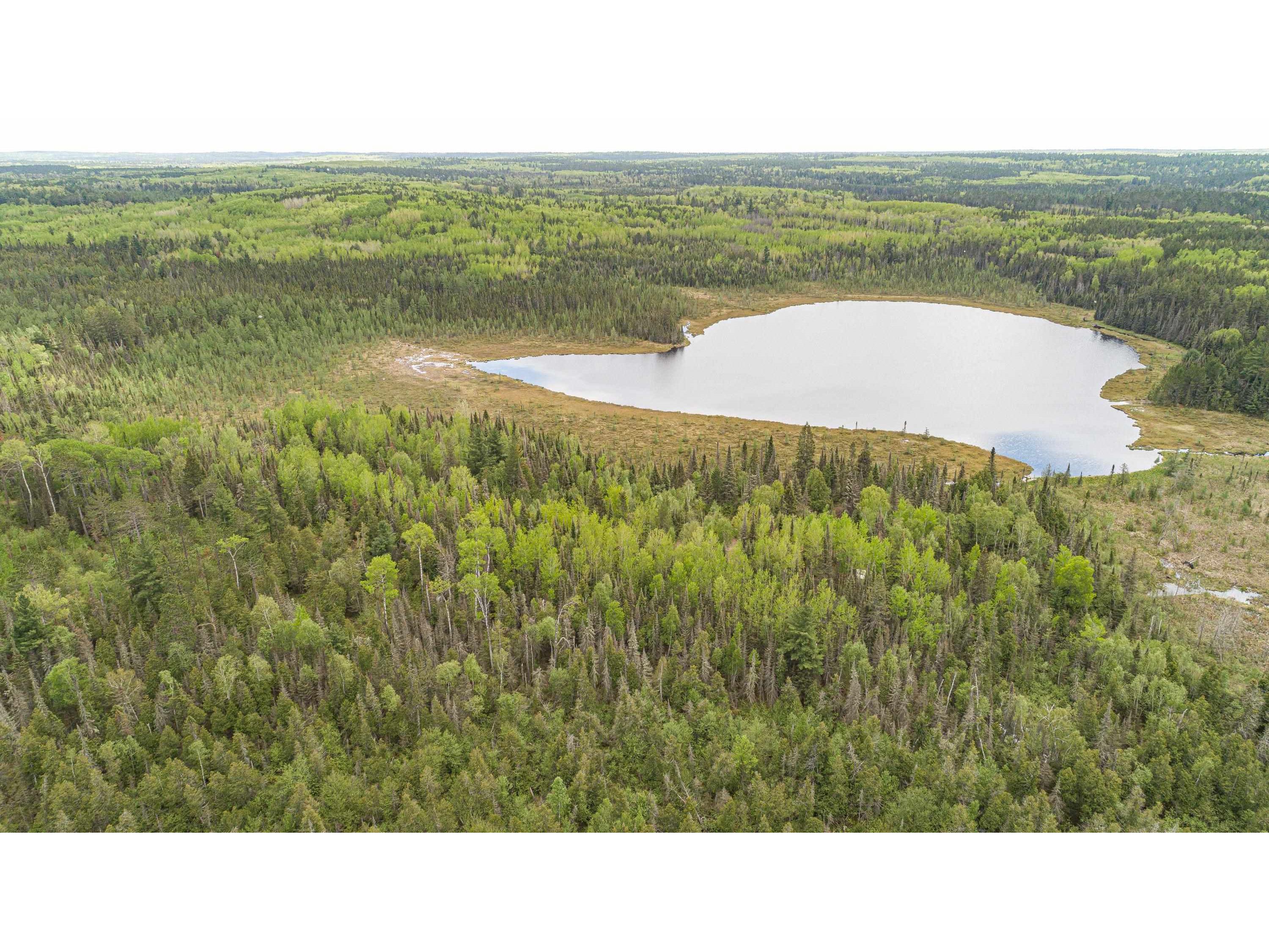 TBD Victor Lake Rd Isabella MN 55607 - Victor 6123597 image23