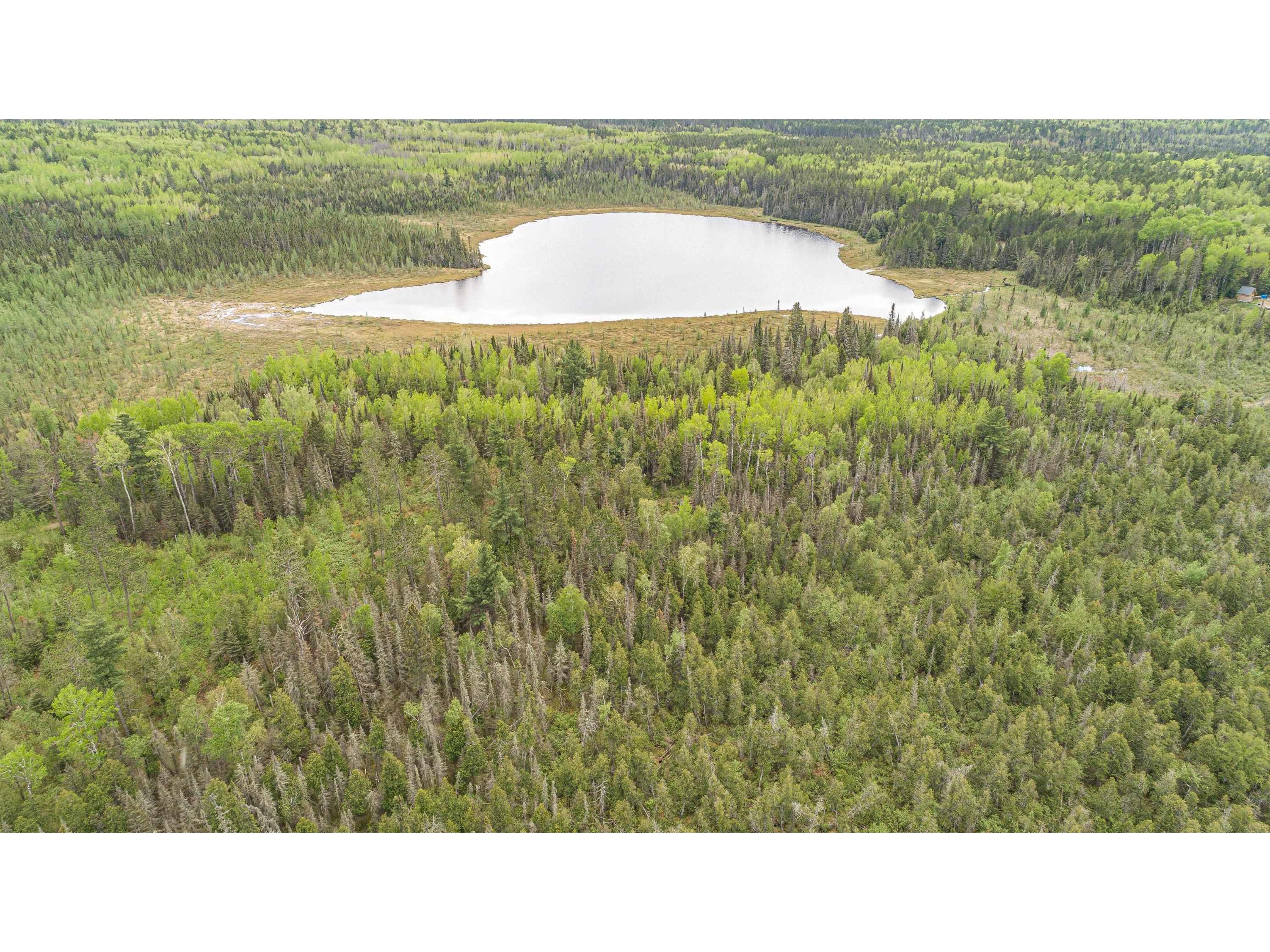 TBD Victor Lake Rd Isabella MN 55607 - Victor 6123597 image24