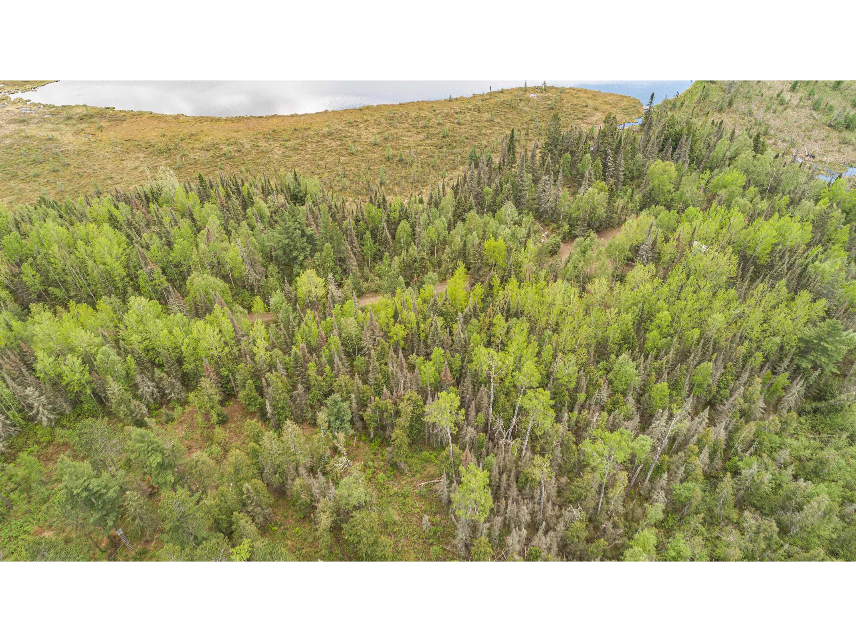 TBD Victor Lake Rd Isabella MN 55607 - Victor 6123597 image25