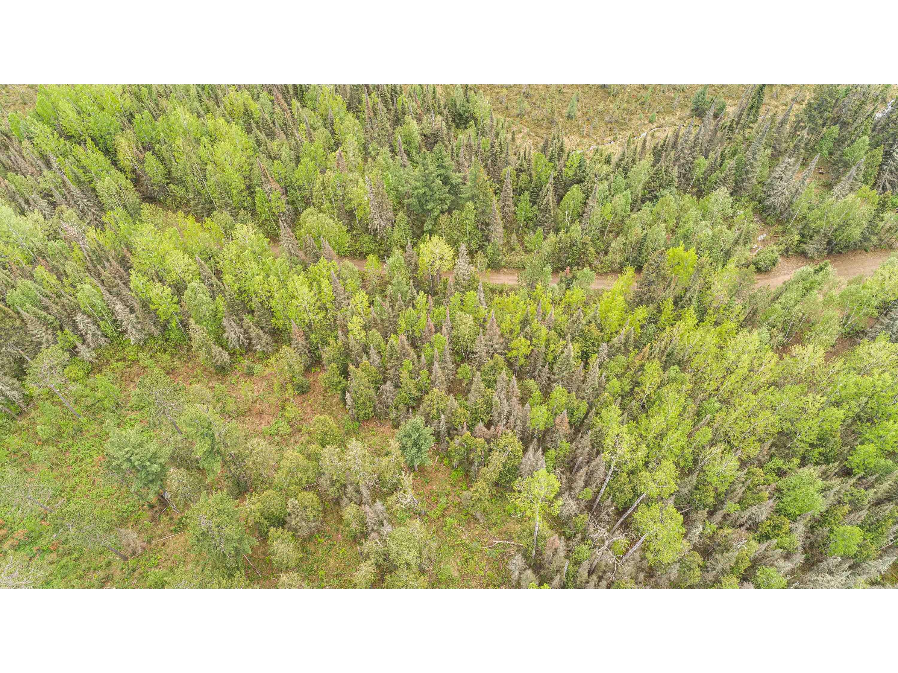 TBD Victor Lake Rd Isabella MN 55607 - Victor 6123597 image26