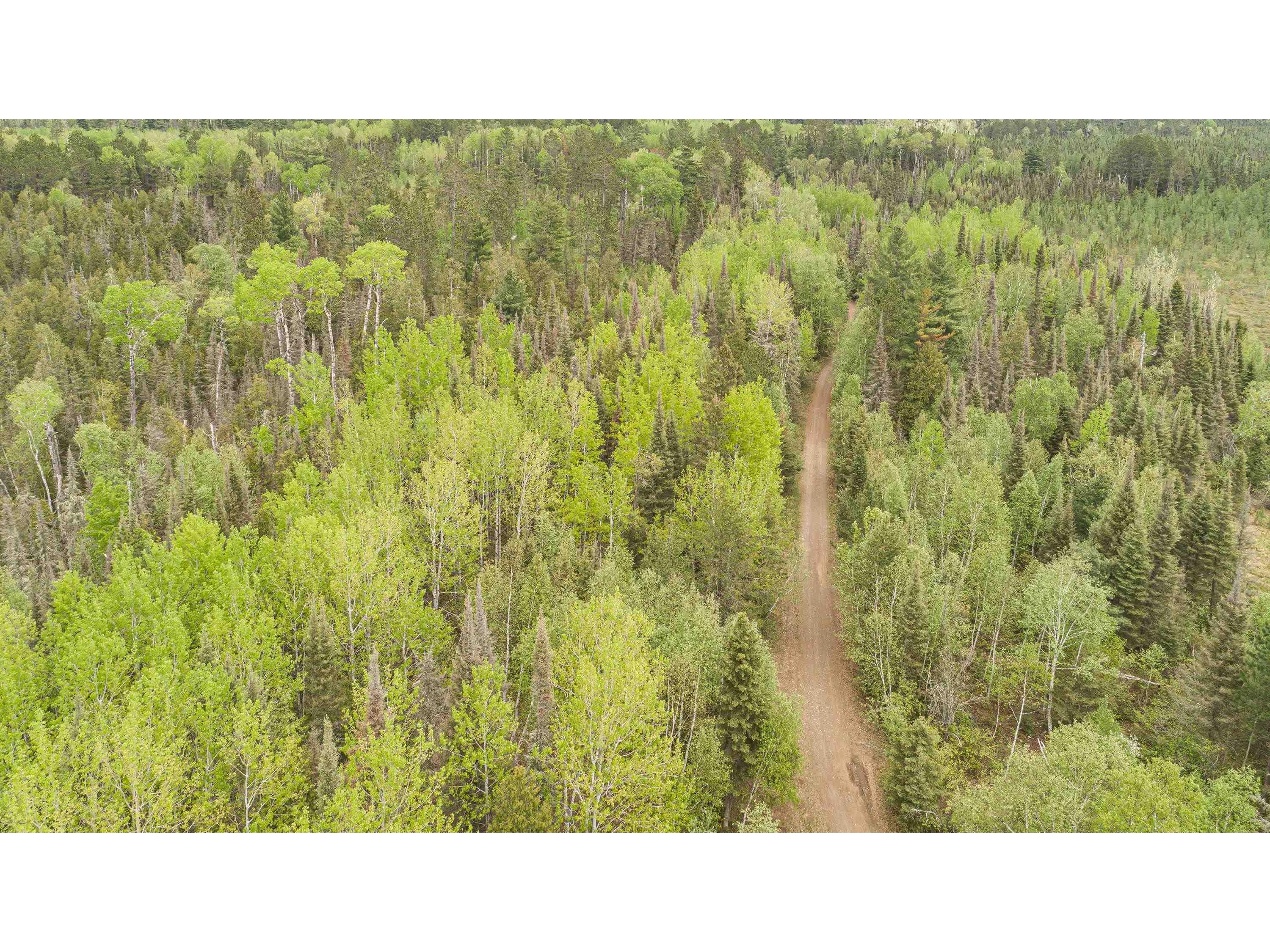 TBD Victor Lake Rd Isabella MN 55607 - Victor 6123597 image28