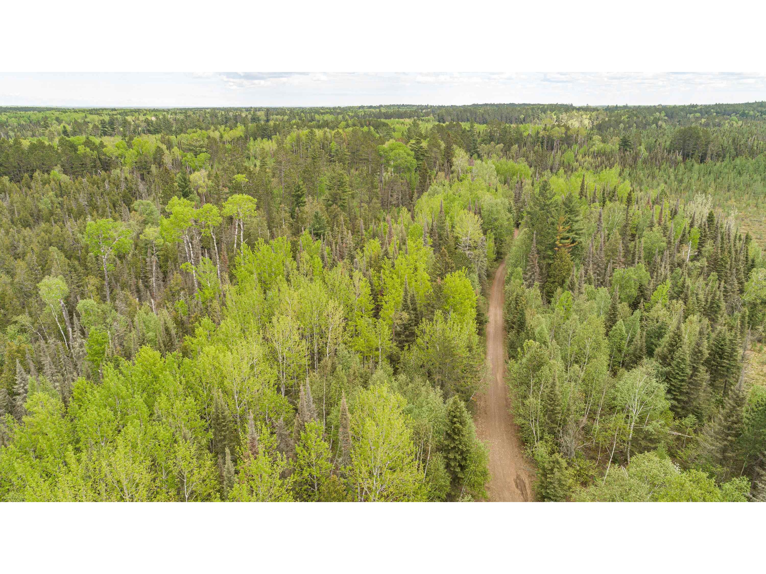 TBD Victor Lake Rd Isabella MN 55607 - Victor 6123597 image29