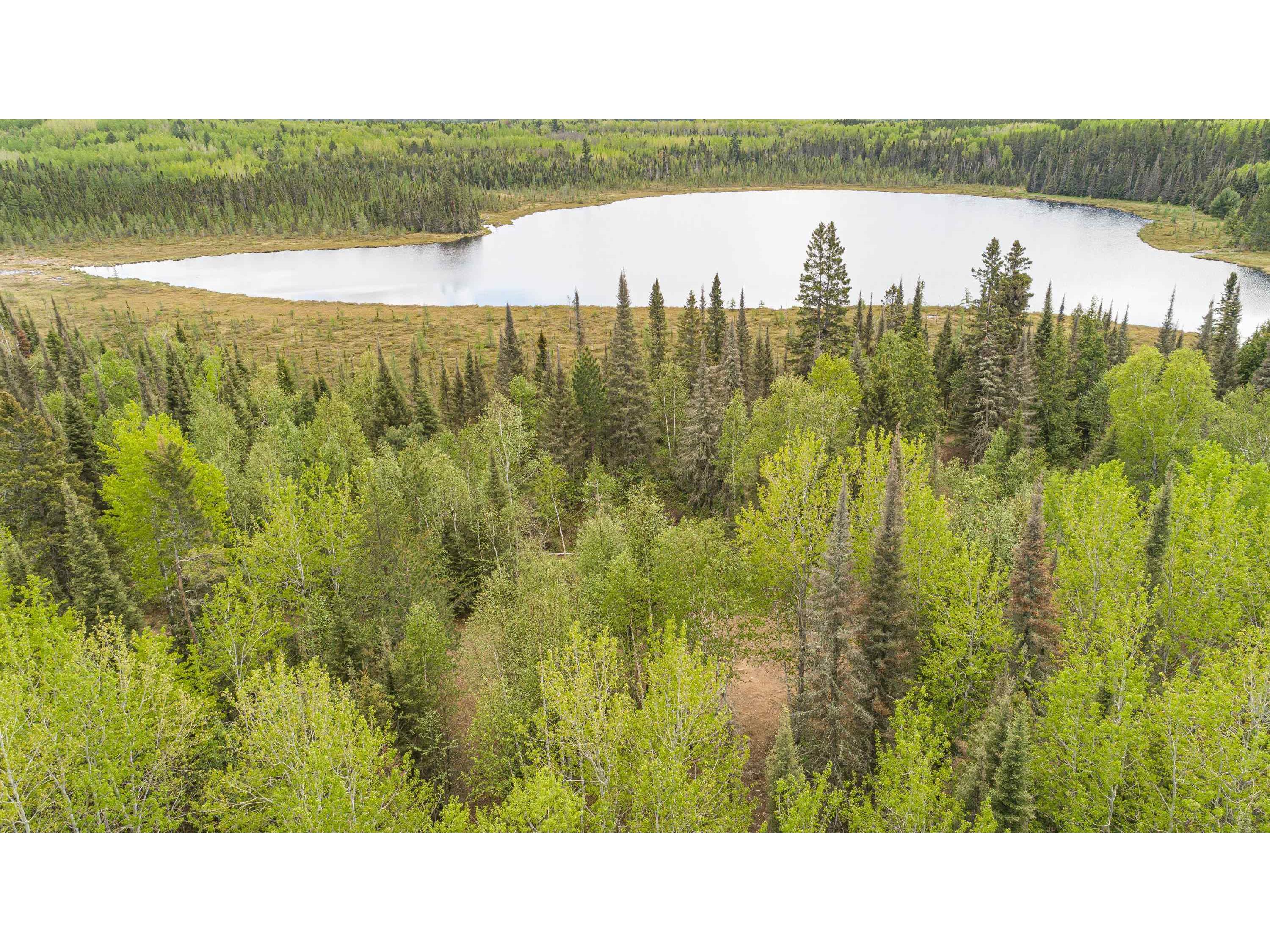 TBD Victor Lake Rd Isabella MN 55607 - Victor 6123597 image31