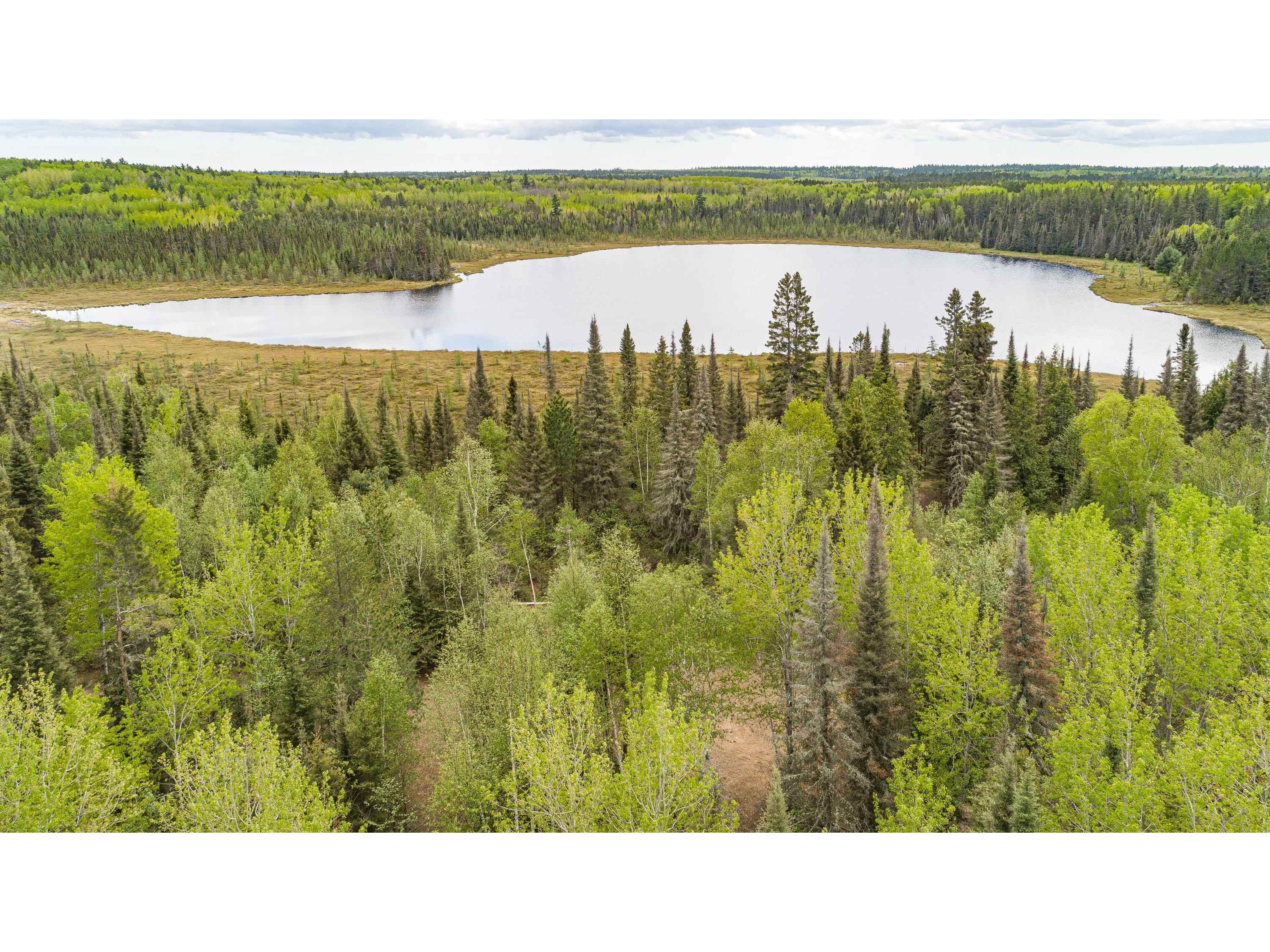 TBD Victor Lake Rd Isabella MN 55607 - Victor 6123597 image32