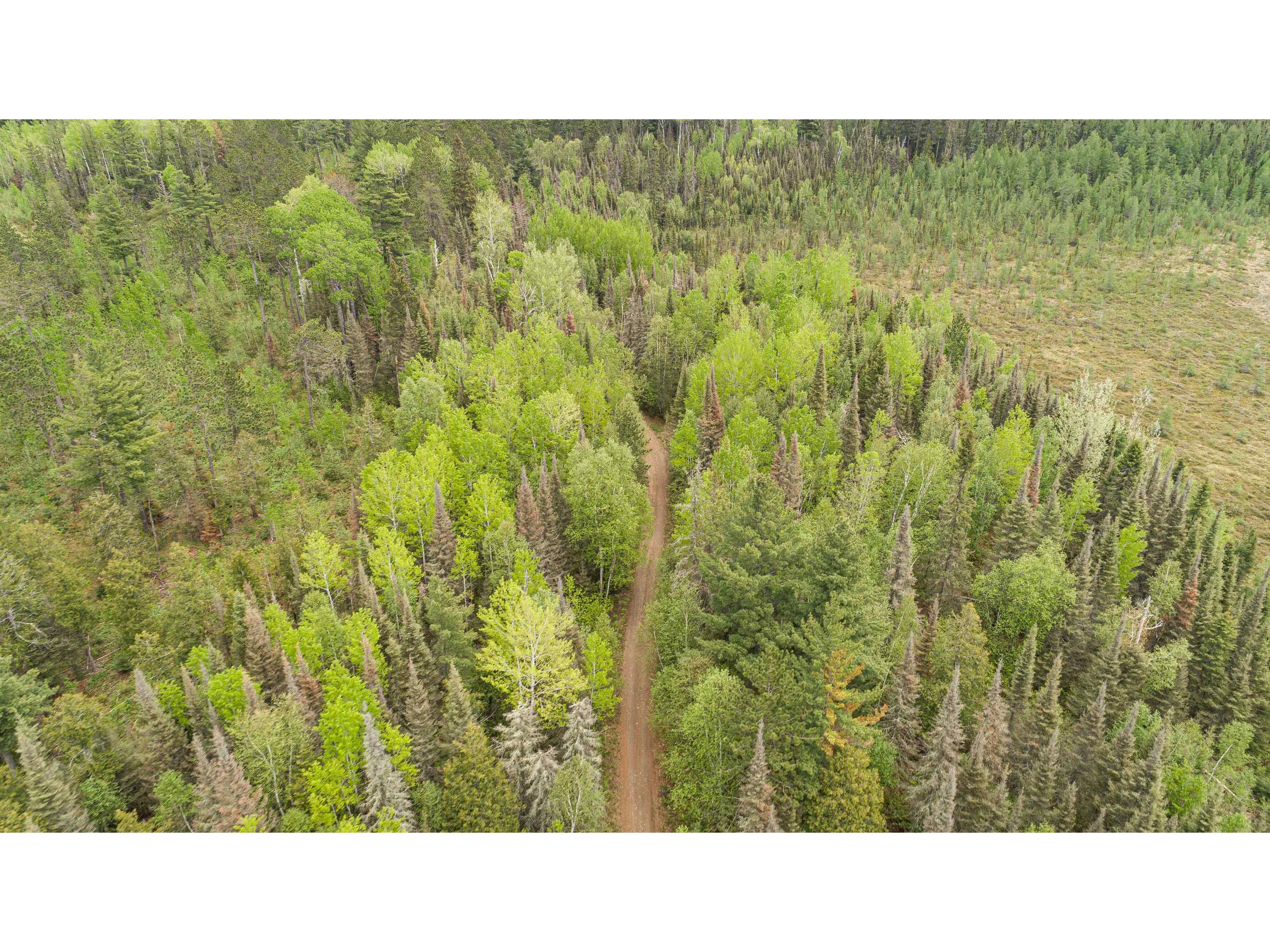 TBD Victor Lake Rd Isabella MN 55607 - Victor 6123597 image33