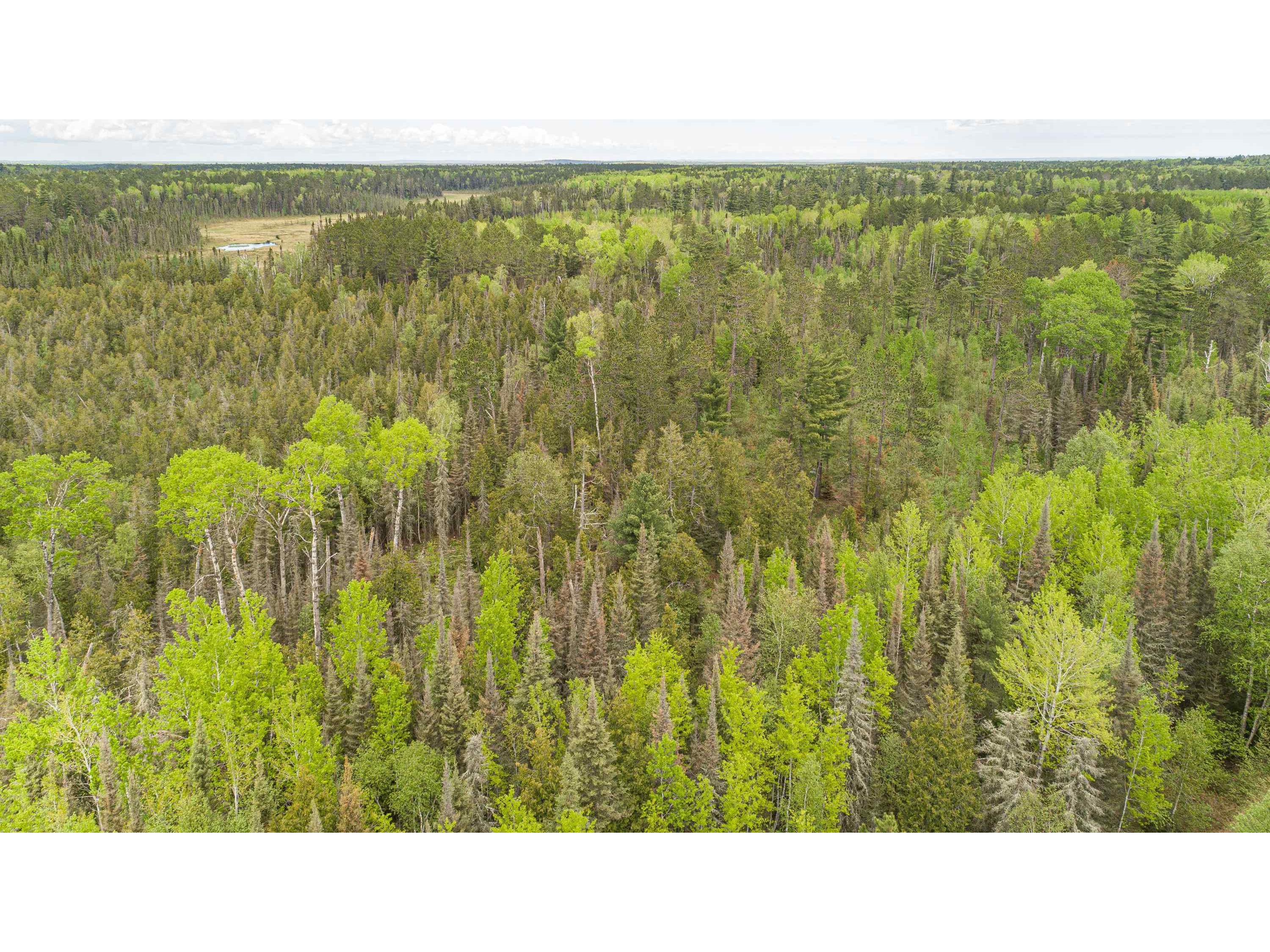 TBD Victor Lake Rd Isabella MN 55607 - Victor 6123597 image34