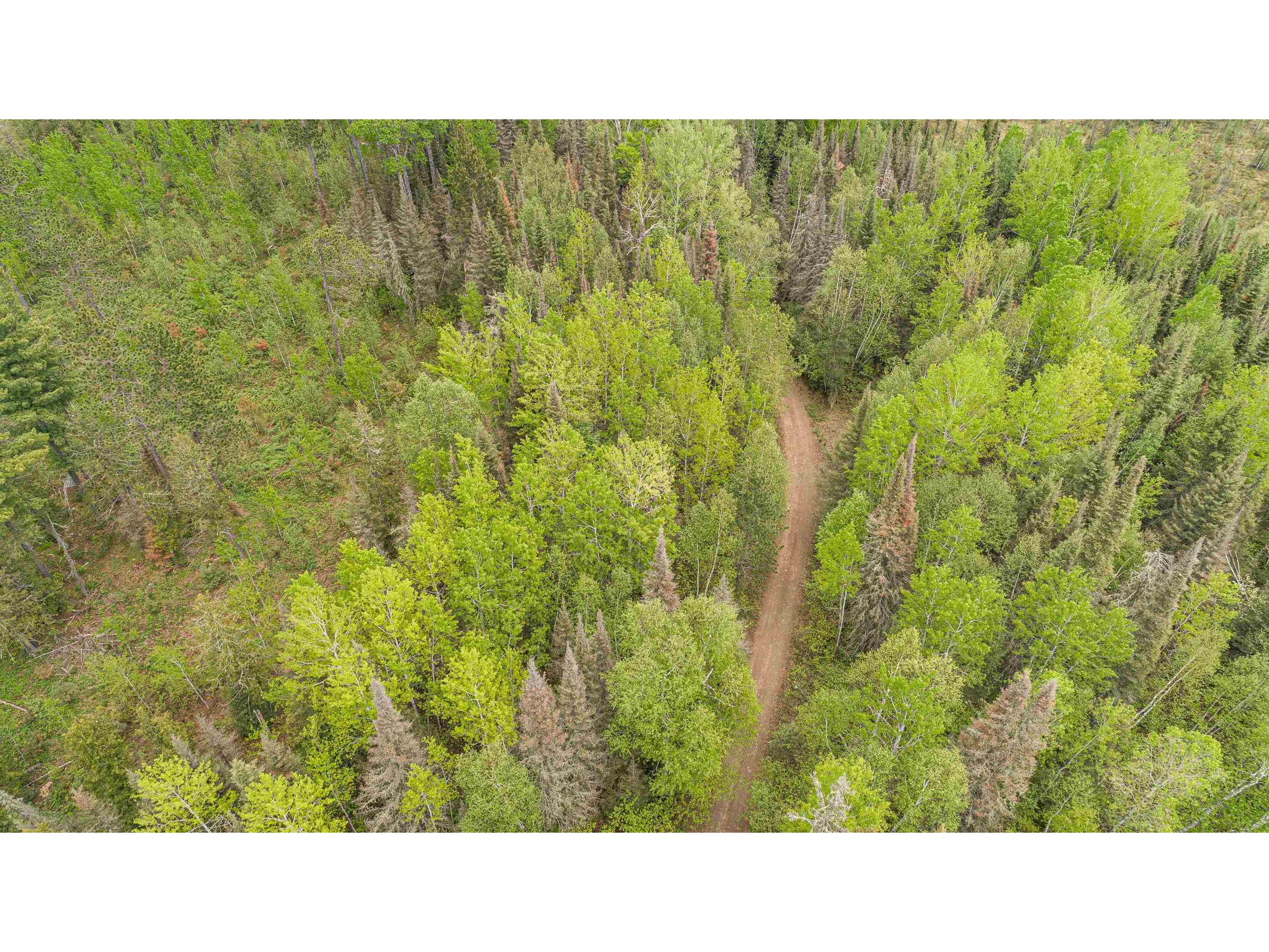 TBD Victor Lake Rd Isabella MN 55607 - Victor 6123597 image35