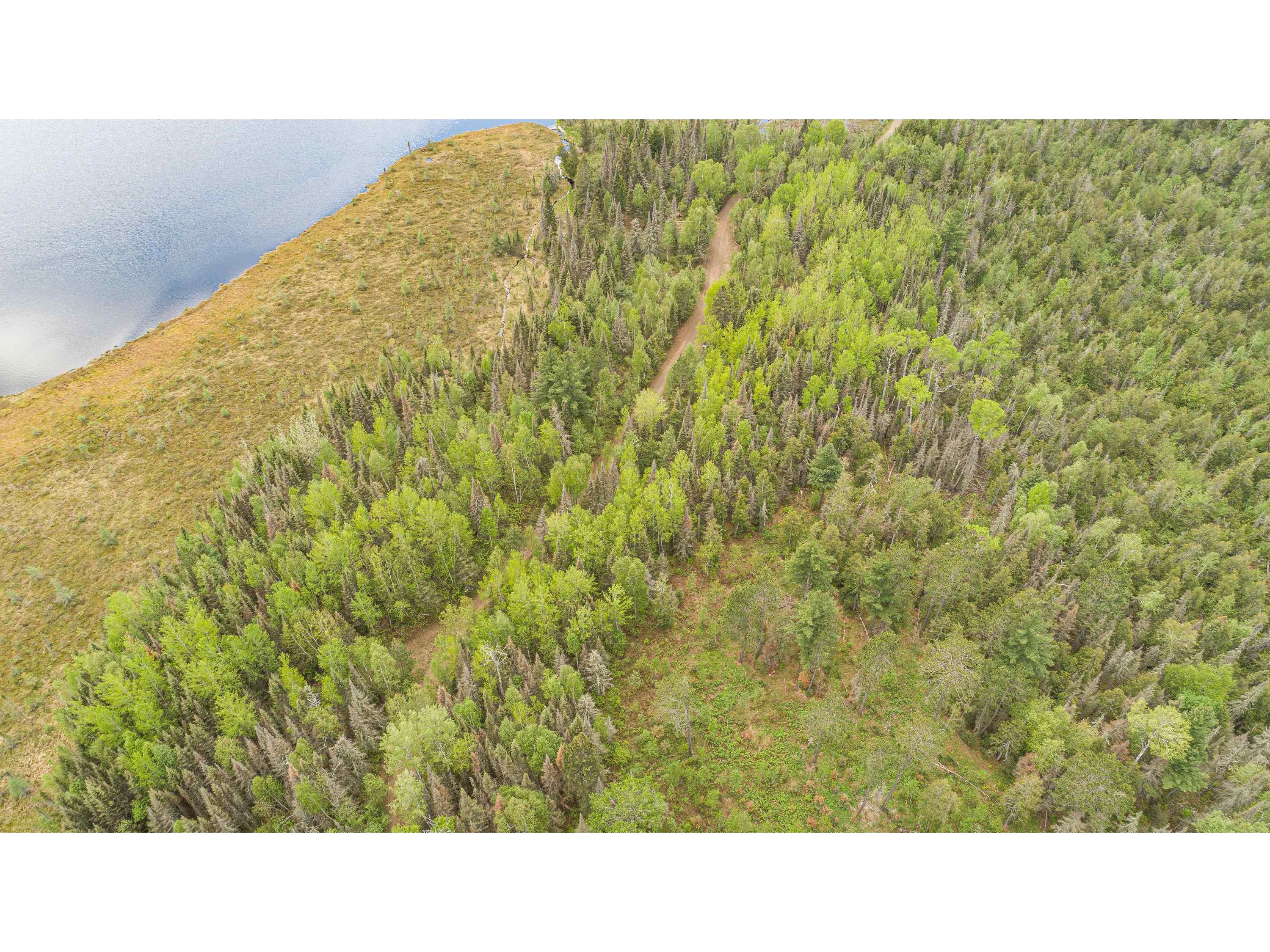 TBD Victor Lake Rd Isabella MN 55607 - Victor 6123597 image36