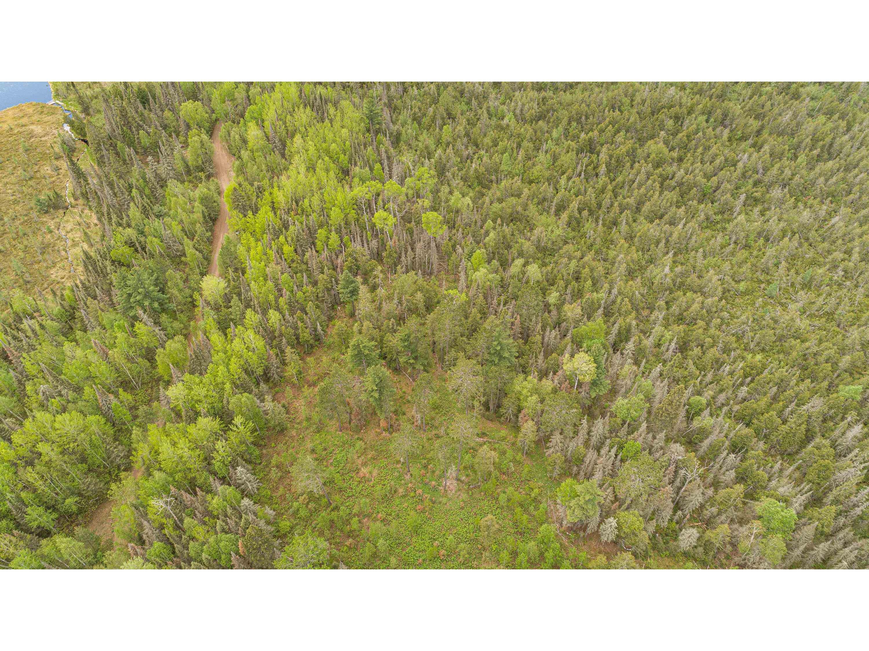 TBD Victor Lake Rd Isabella MN 55607 - Victor 6123597 image37