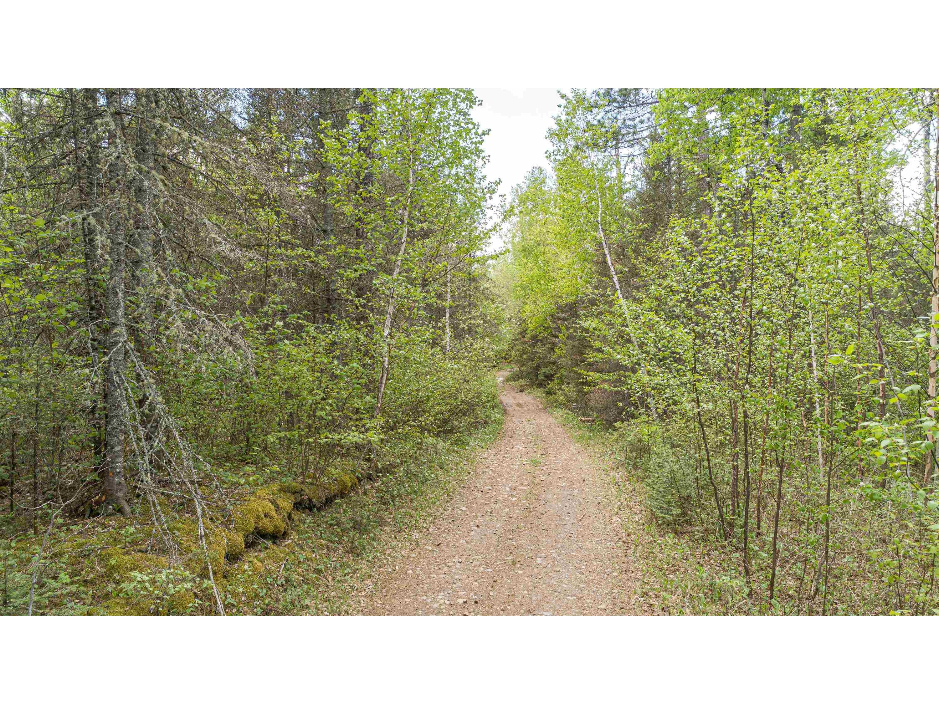 TBD Victor Lake Rd Isabella MN 55607 - Victor 6123597 image39