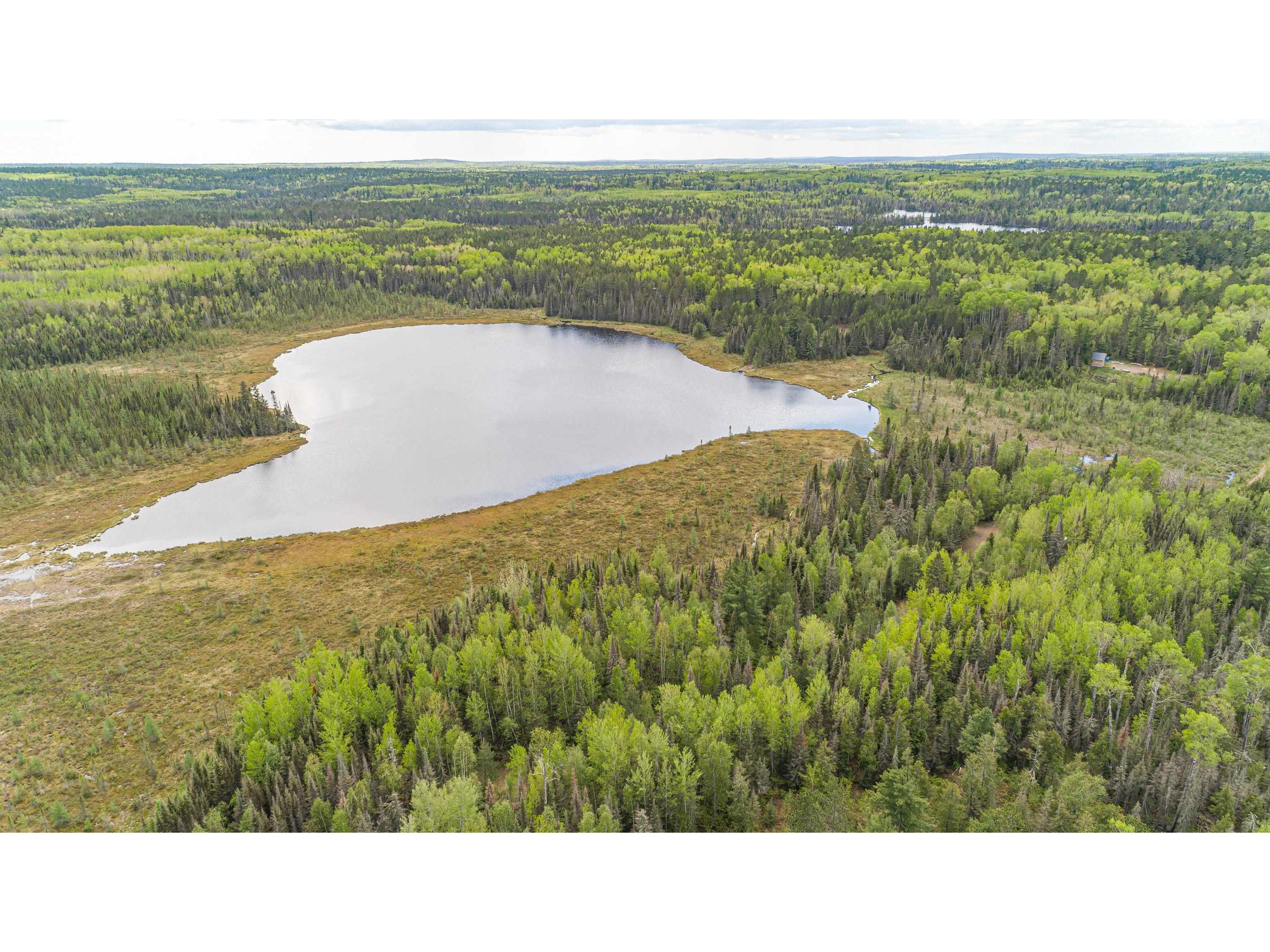 TBD Victor Lake Rd Isabella MN 55607 - Victor 6123597 image4