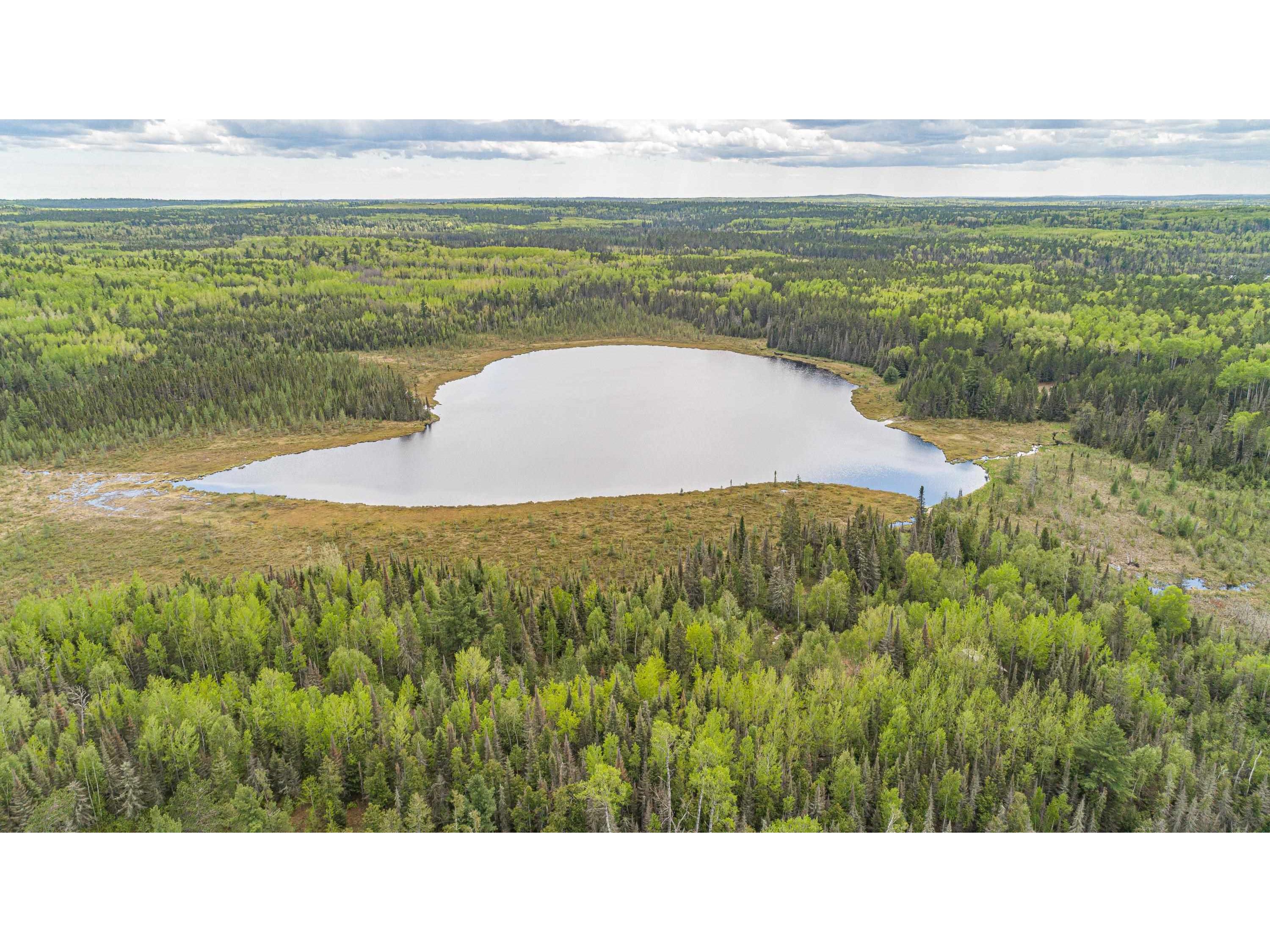 TBD Victor Lake Rd Isabella MN 55607 - Victor 6123597 image5