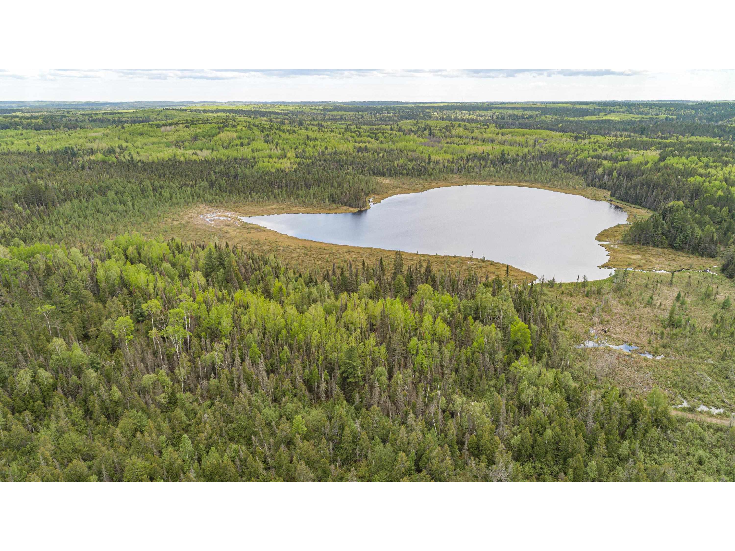 TBD Victor Lake Rd Isabella MN 55607 - Victor 6123597 image6