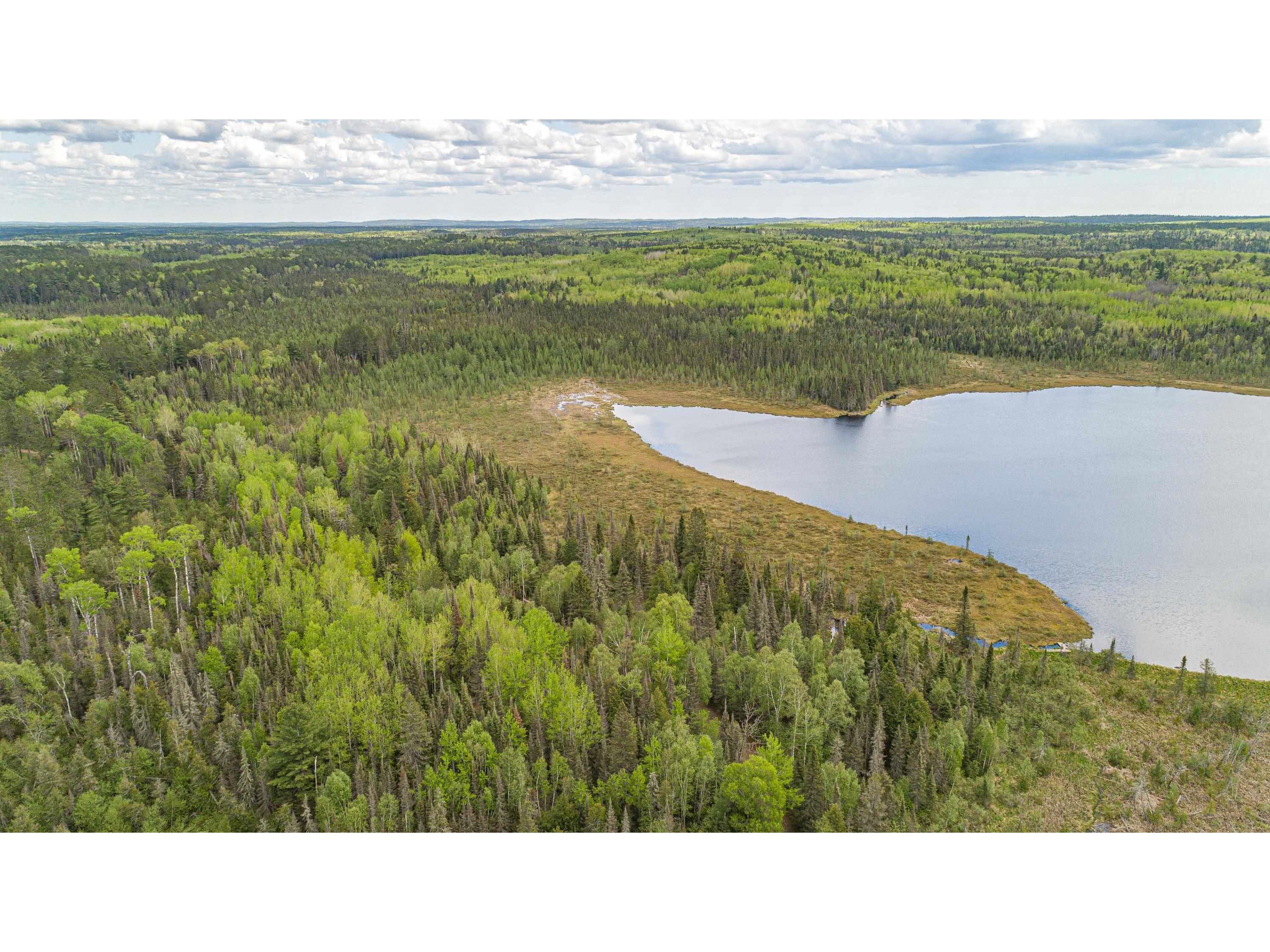 TBD Victor Lake Rd Isabella MN 55607 - Victor 6123597 image7