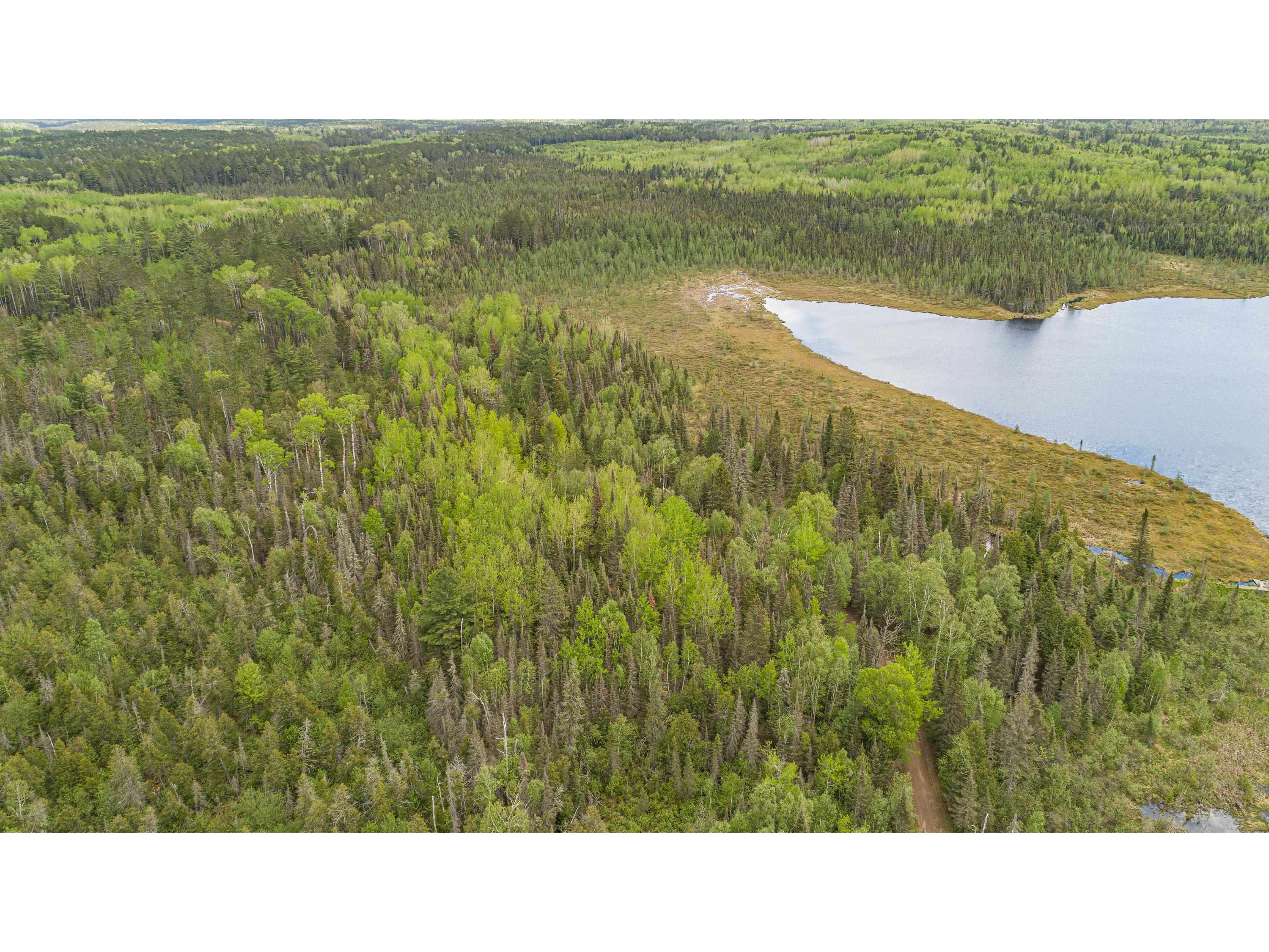 TBD Victor Lake Rd Isabella MN 55607 - Victor 6123597 image8