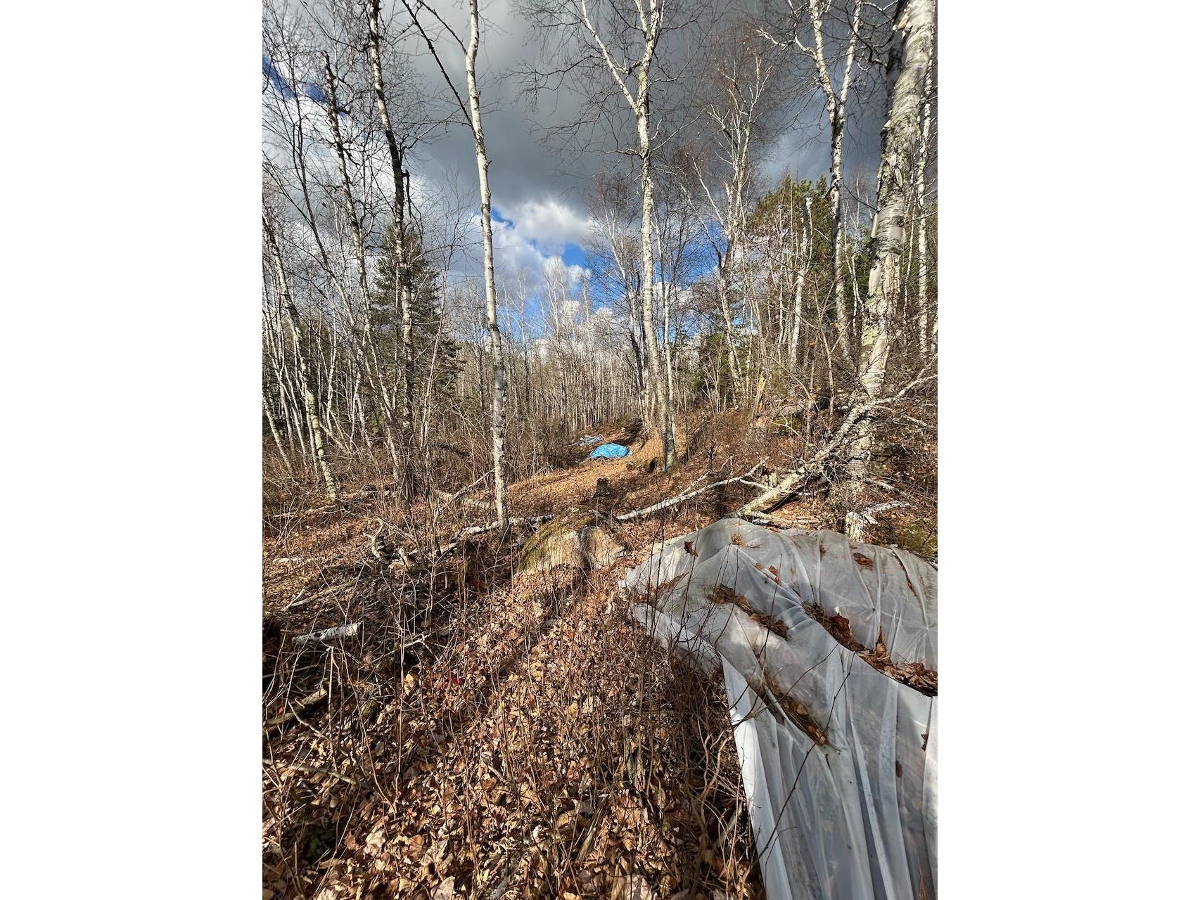 TBD Wilderness Way Road Cook MN 55723 - Vermilion 6122817 image11