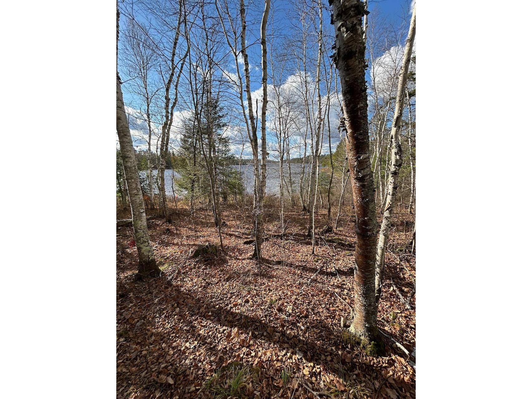 TBD Wilderness Way Road Cook MN 55723 - Vermilion 6122817 image12