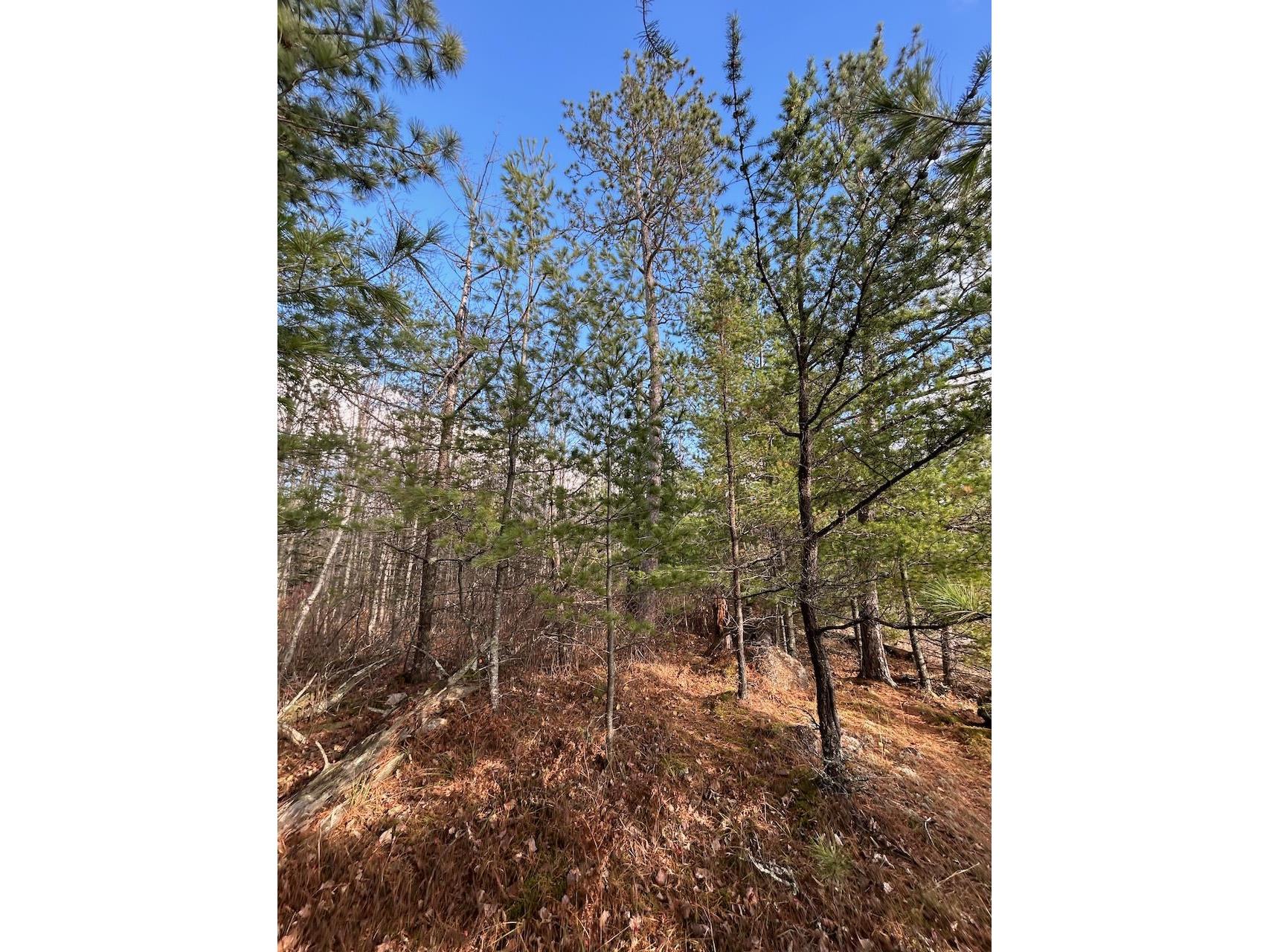 TBD Wilderness Way Road Cook MN 55723 - Vermilion 6122817 image16