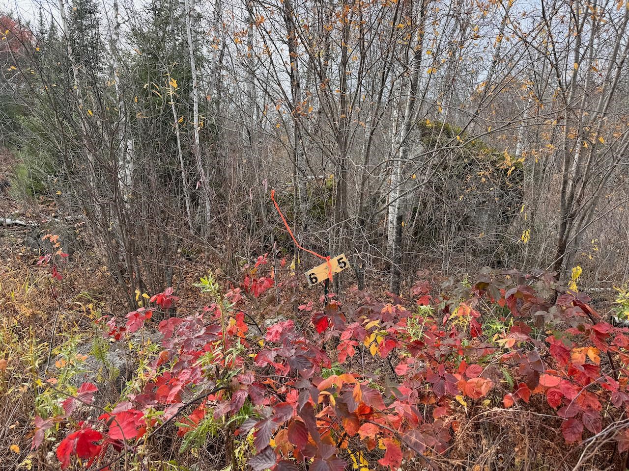 TBD Wilderness Way Road Cook MN 55723 - Vermilion 6122817 image19