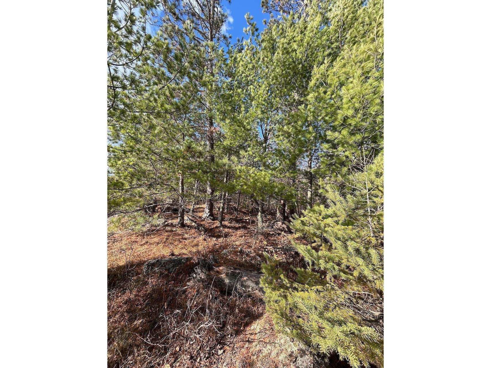 TBD Wilderness Way Road Cook MN 55723 - Vermilion 6122817 image6