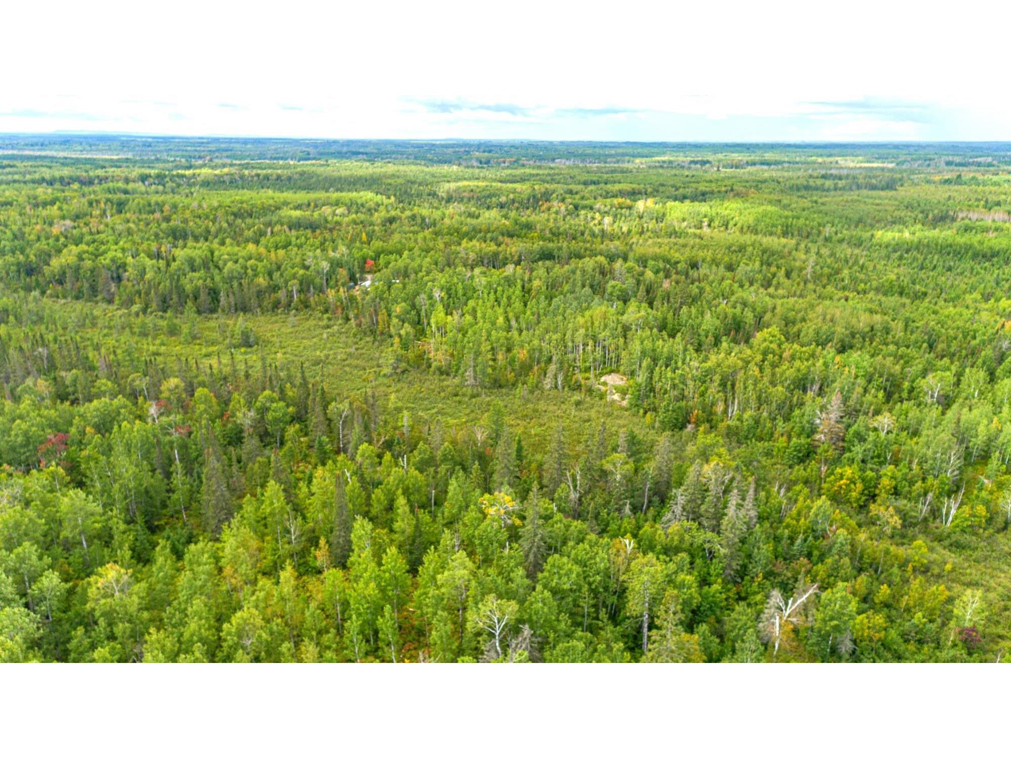 TBD Comet Rd Embarrass MN 55732 6123169 image8