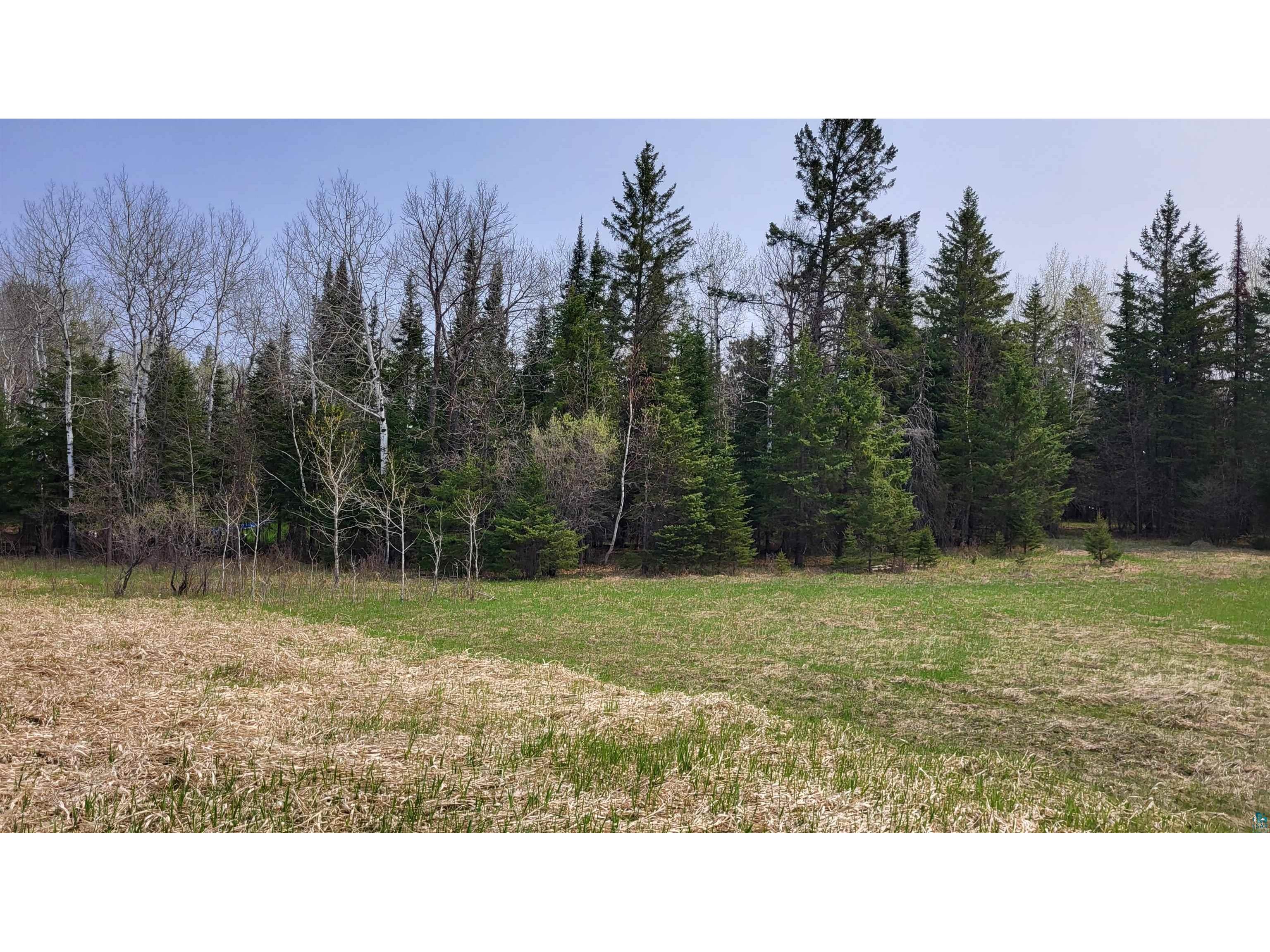 TBS 1 7th St SE Cook MN 55723 6108054 image1