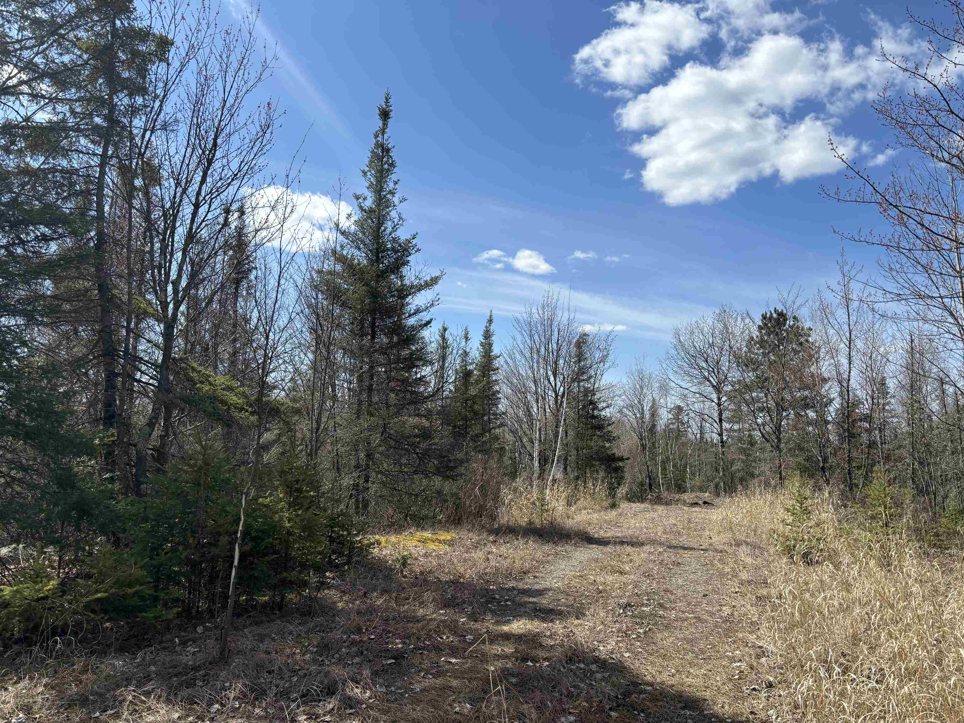 Unit 1 Fernberg Rd Ely MN 55731 - Garden 6123037 image10