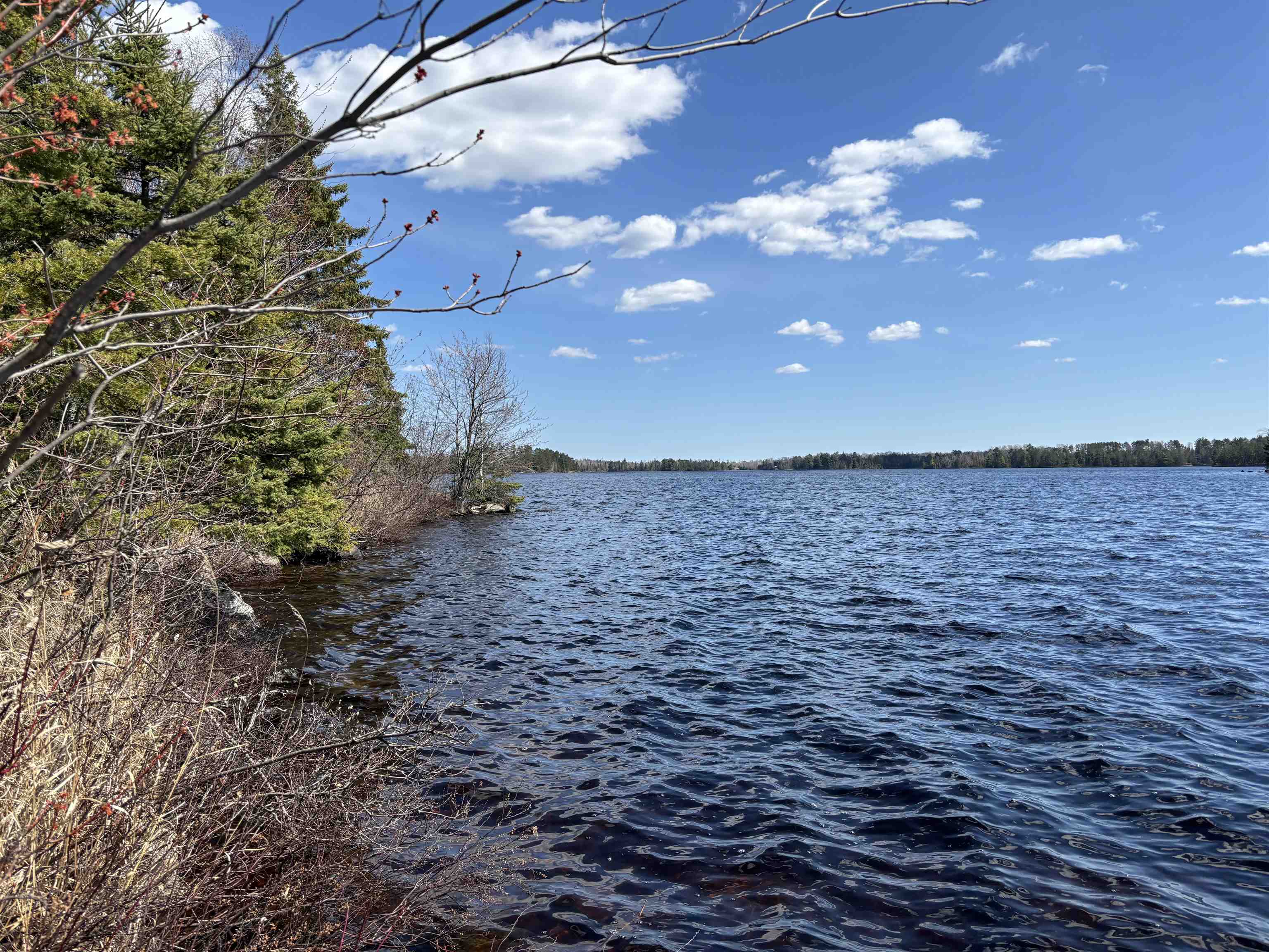 Unit 1 Fernberg Rd Ely MN 55731 - Garden 6123037 image8