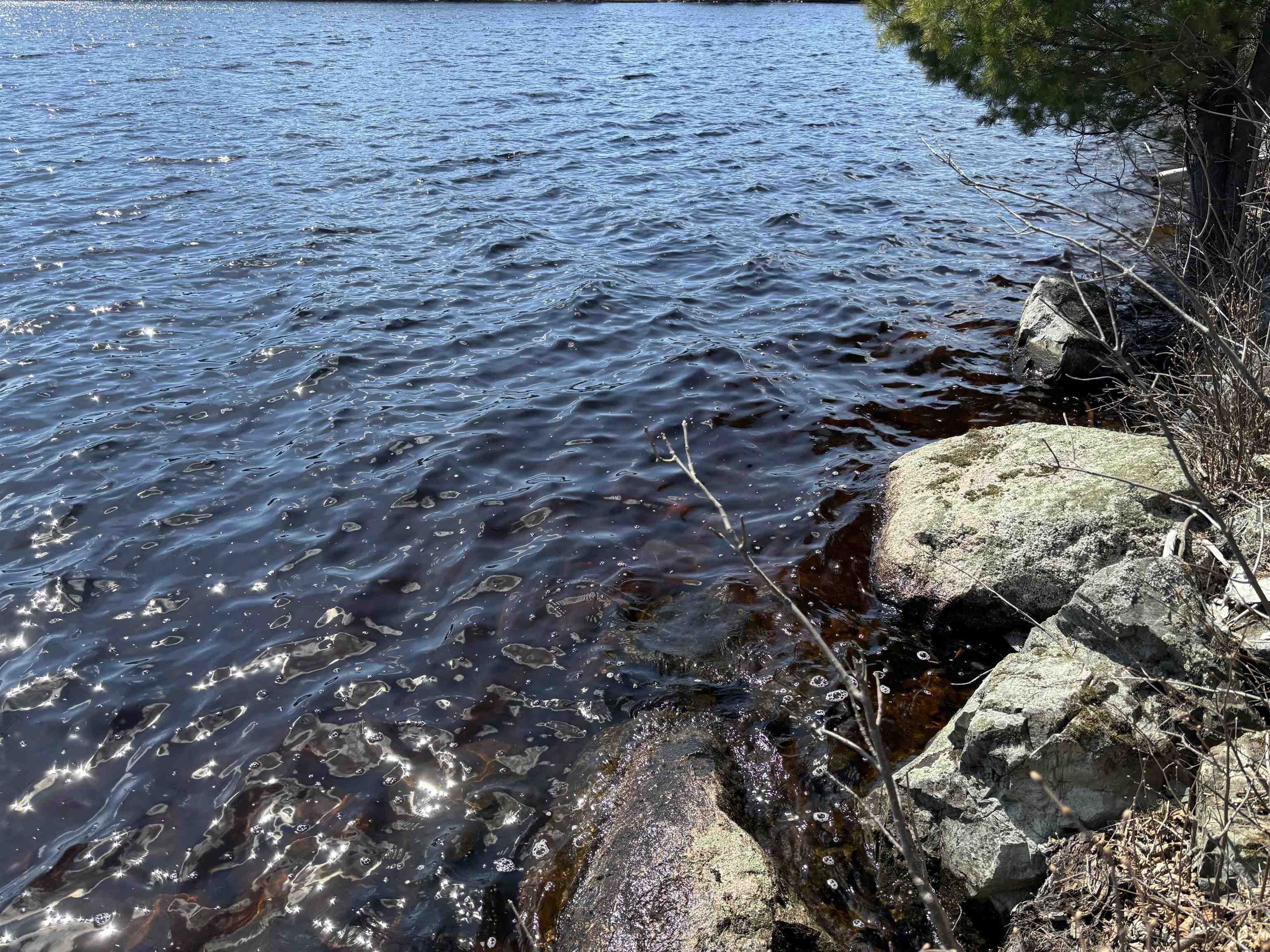 Unit 1 Fernberg Rd Ely MN 55731 - Garden 6123037 image9