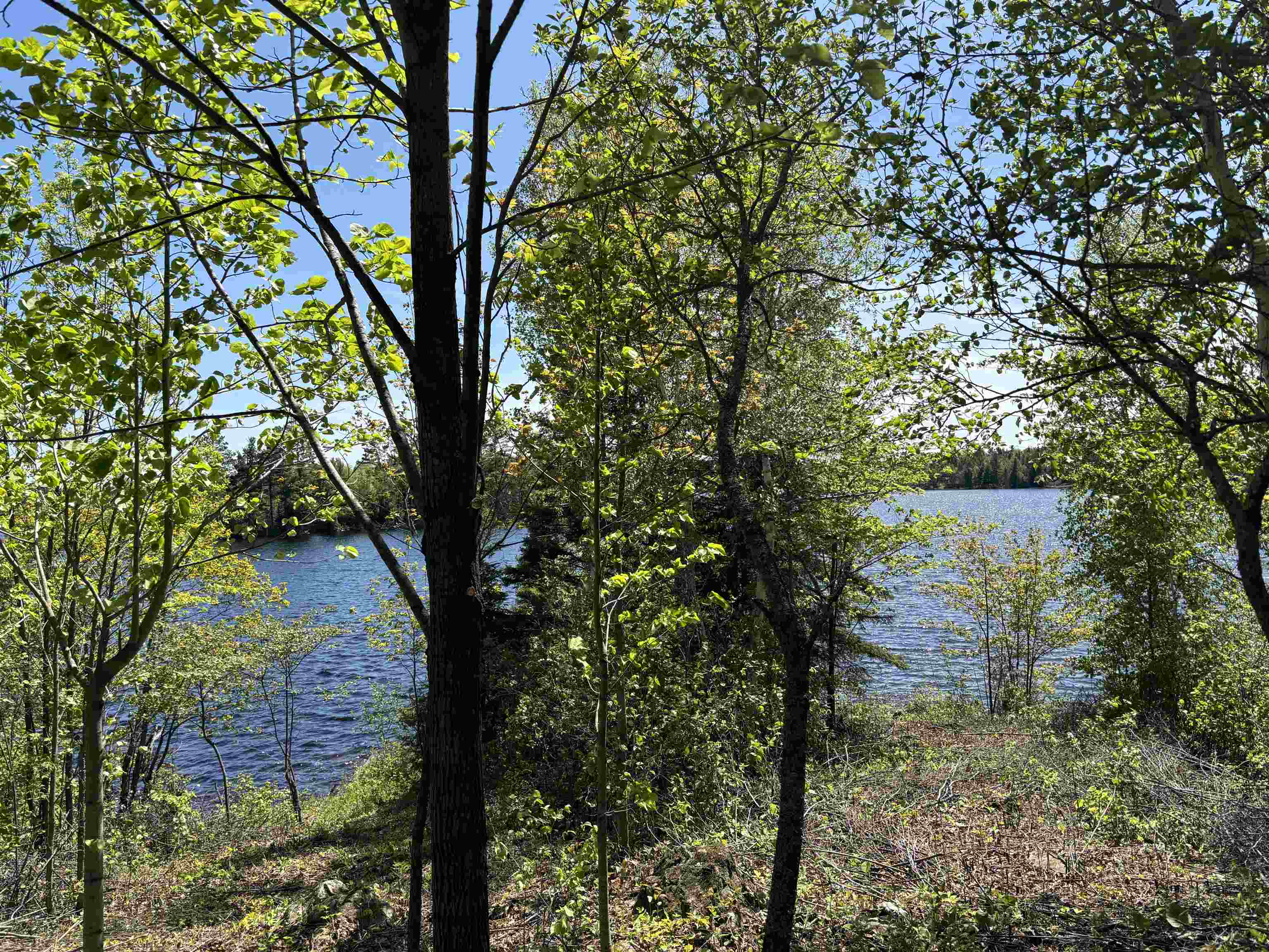 Unit 2 Fernberg Rd Ely MN 55731 - Garden 6123038 image1