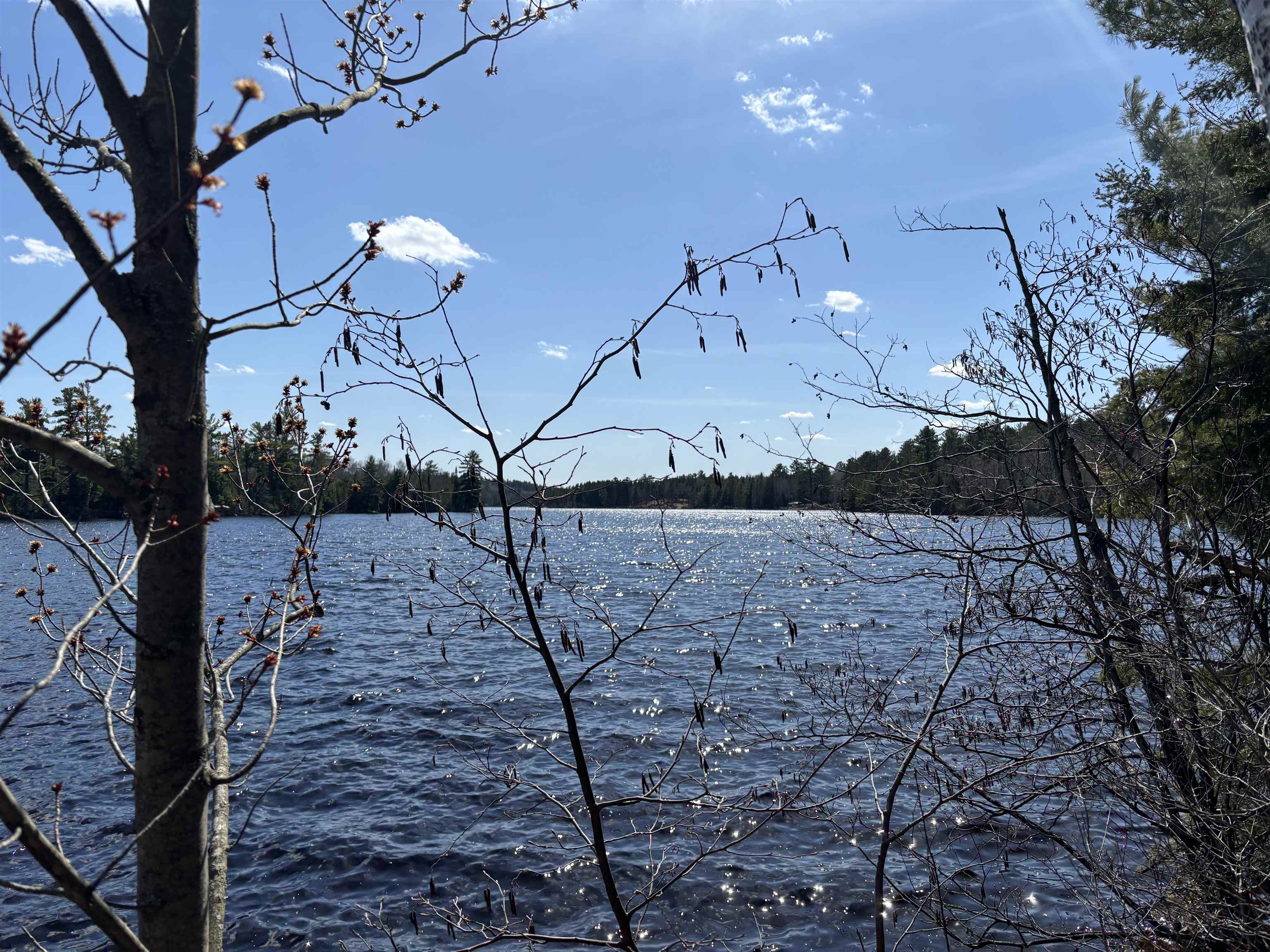 Unit 2 Fernberg Rd Ely MN 55731 - Garden 6123038 image10