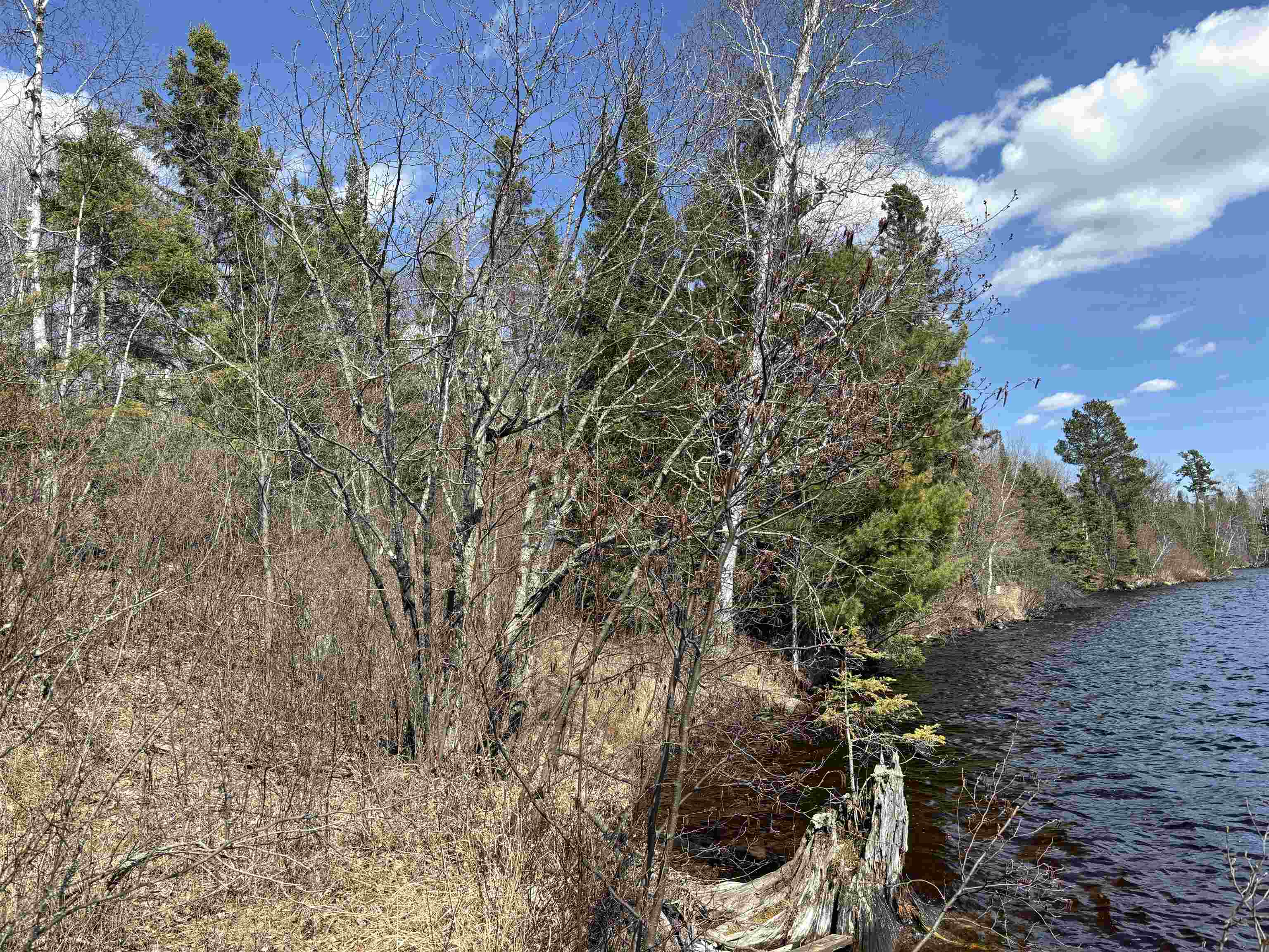 Unit 2 Fernberg Rd Ely MN 55731 - Garden 6123038 image11