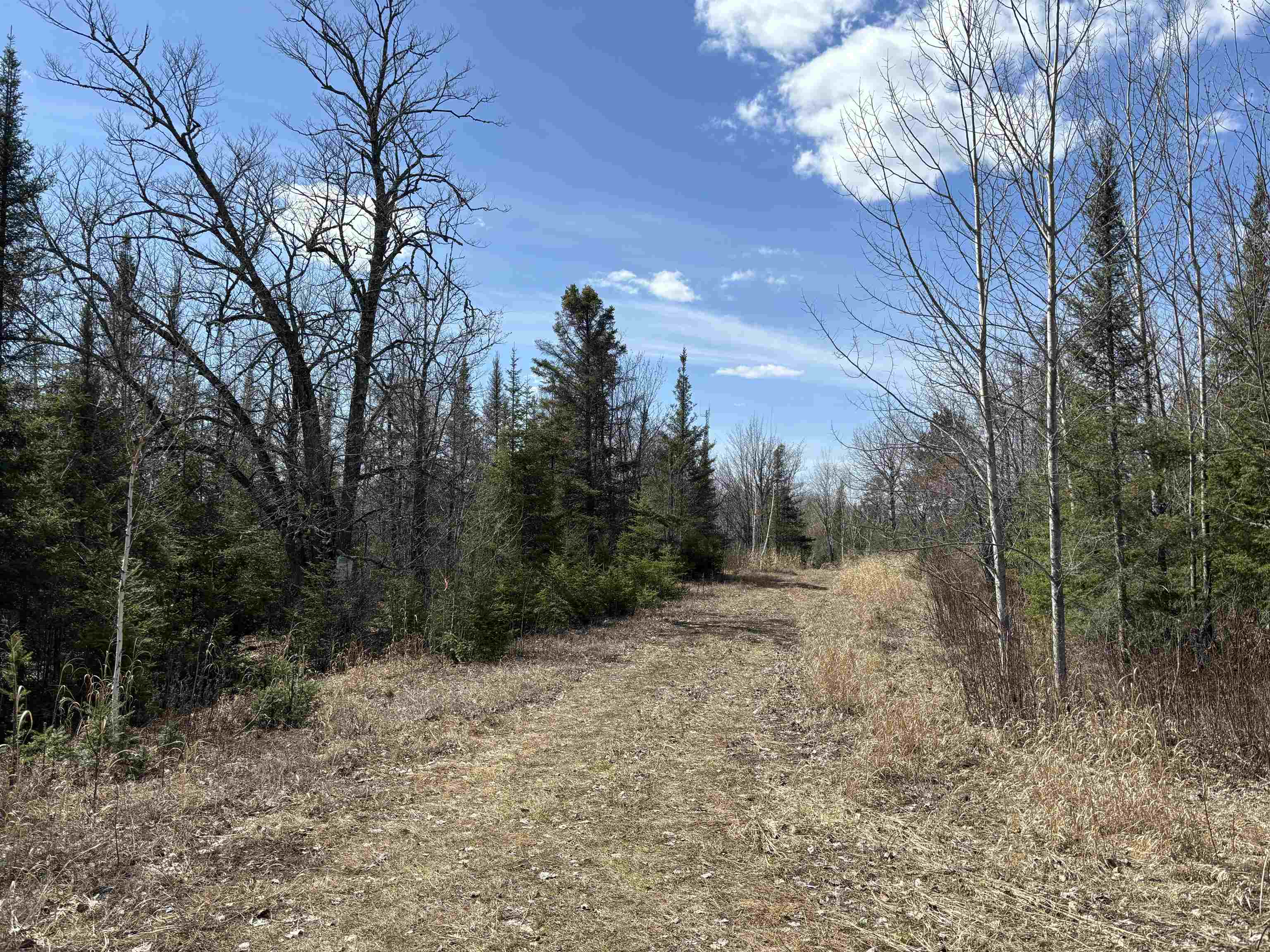 Unit 2 Fernberg Rd Ely MN 55731 - Garden 6123038 image12