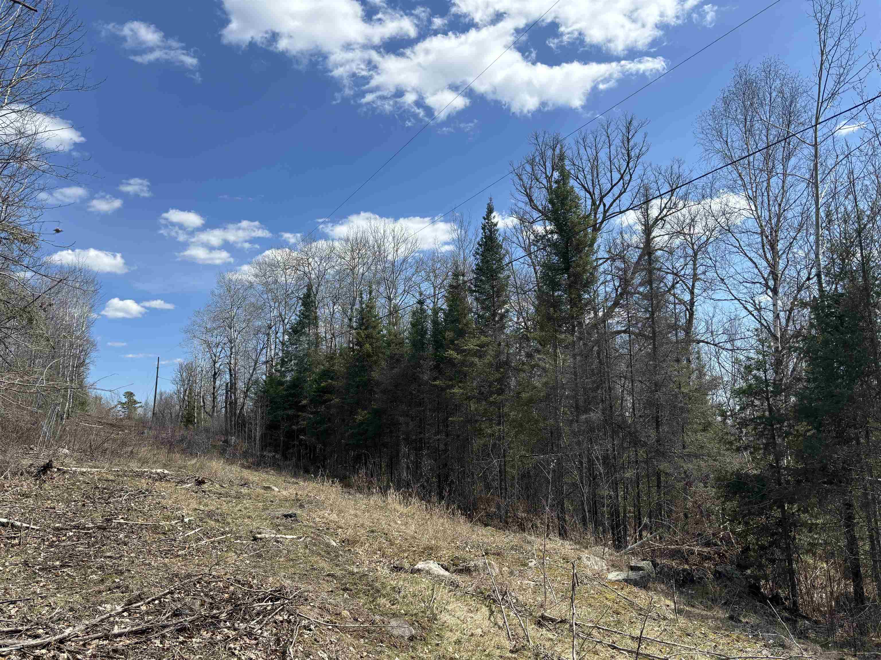 Unit 2 Fernberg Rd Ely MN 55731 - Garden 6123038 image13