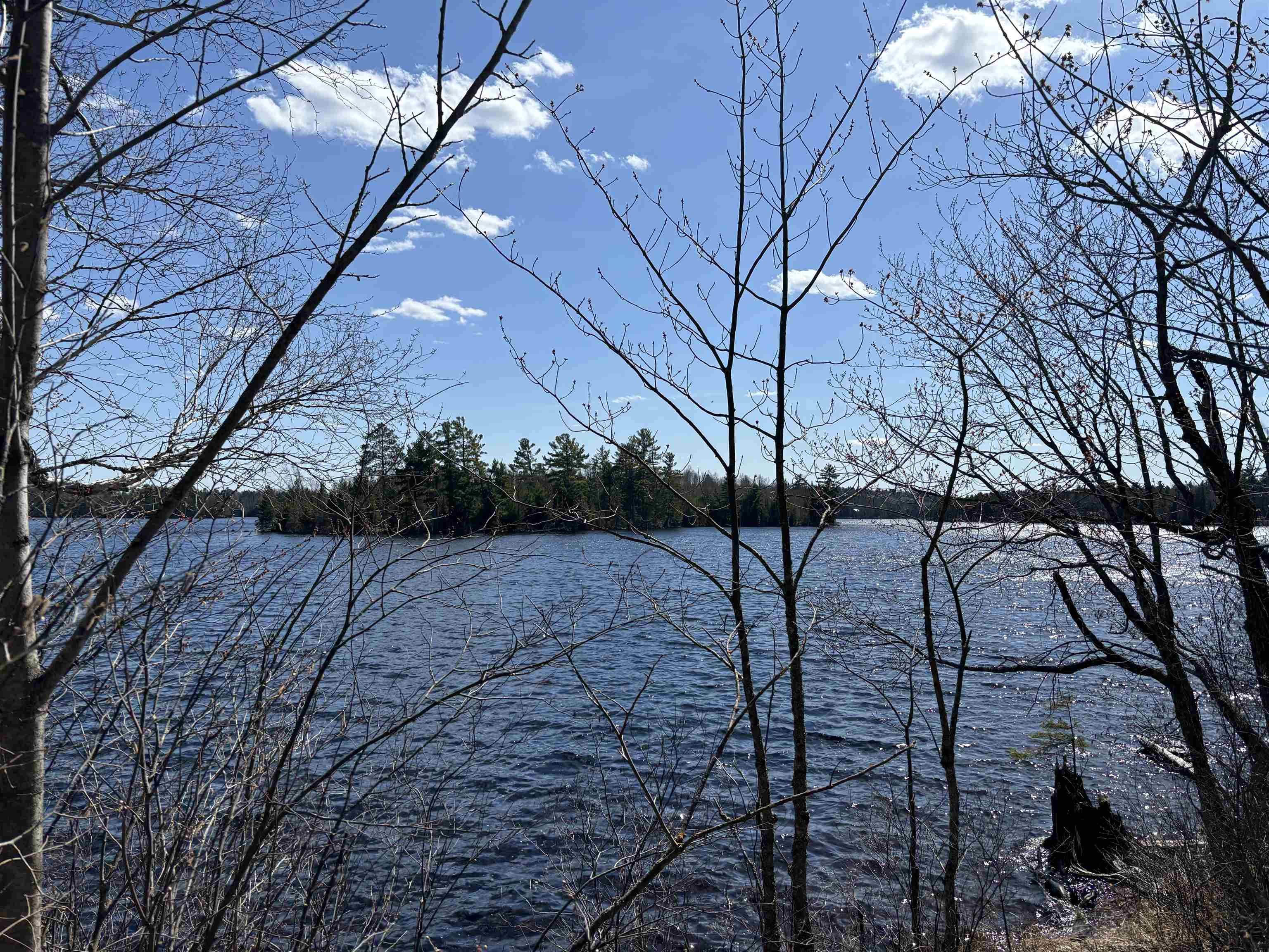 Unit 2 Fernberg Rd Ely MN 55731 - Garden 6123038 image5