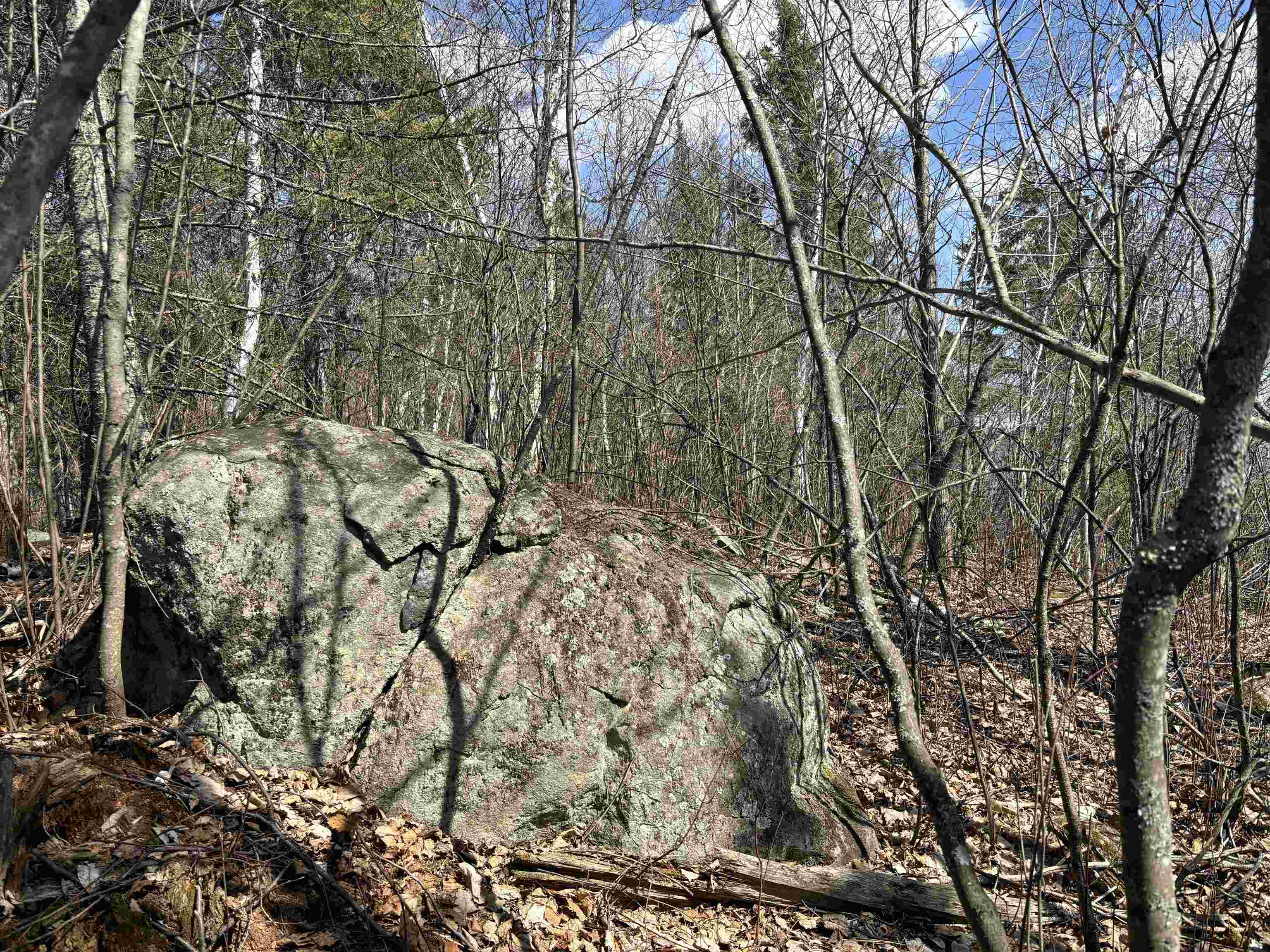 Unit 2 Fernberg Rd Ely MN 55731 - Garden 6123038 image8