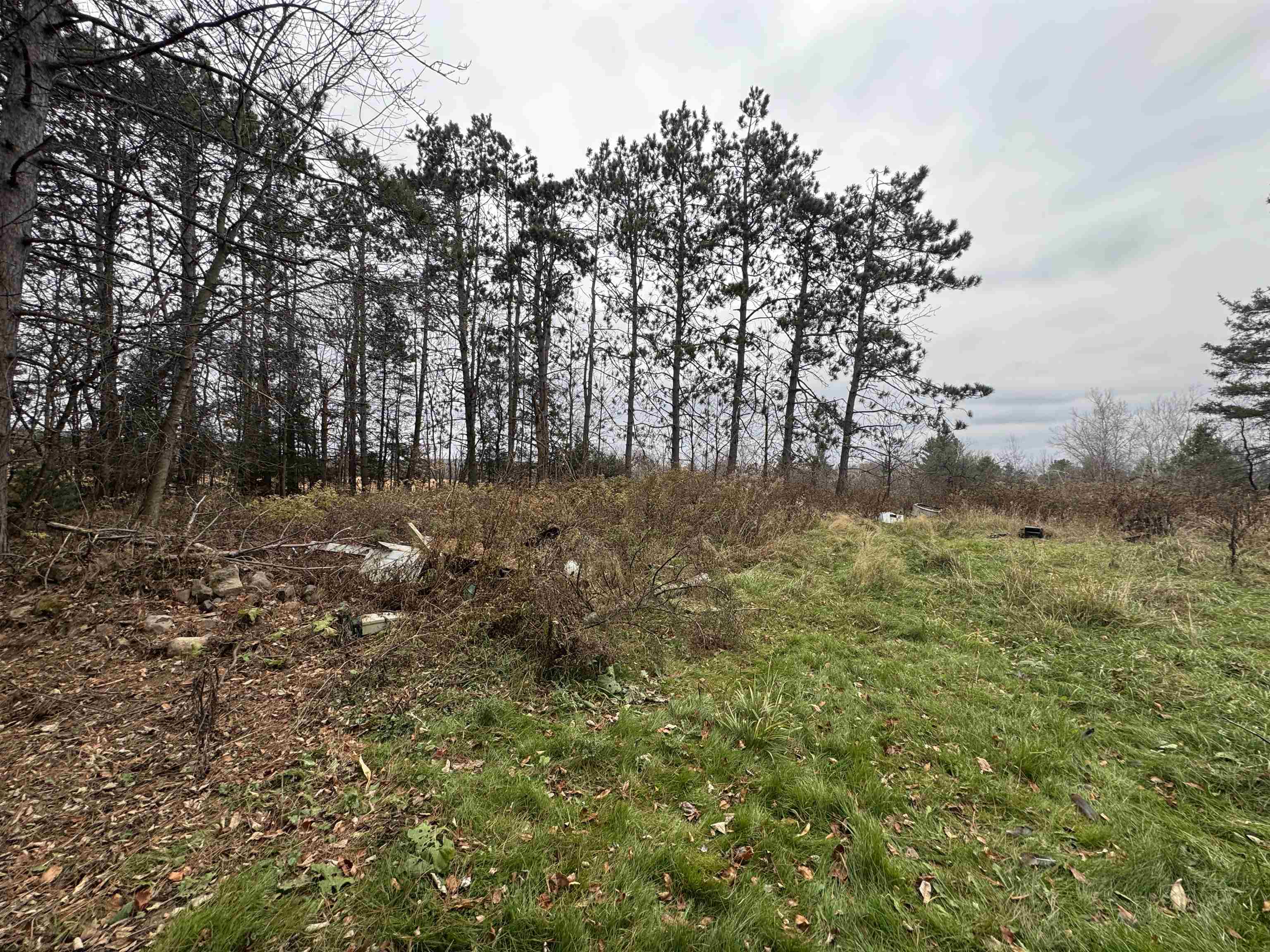 W11204 County Road H Bruce WI 54819 6122878 image3