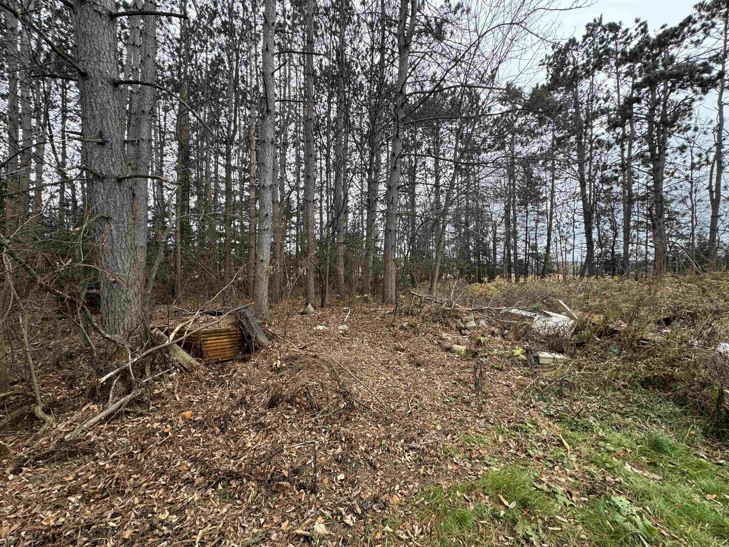 W11204 County Road H Bruce WI 54819 6122878 image4