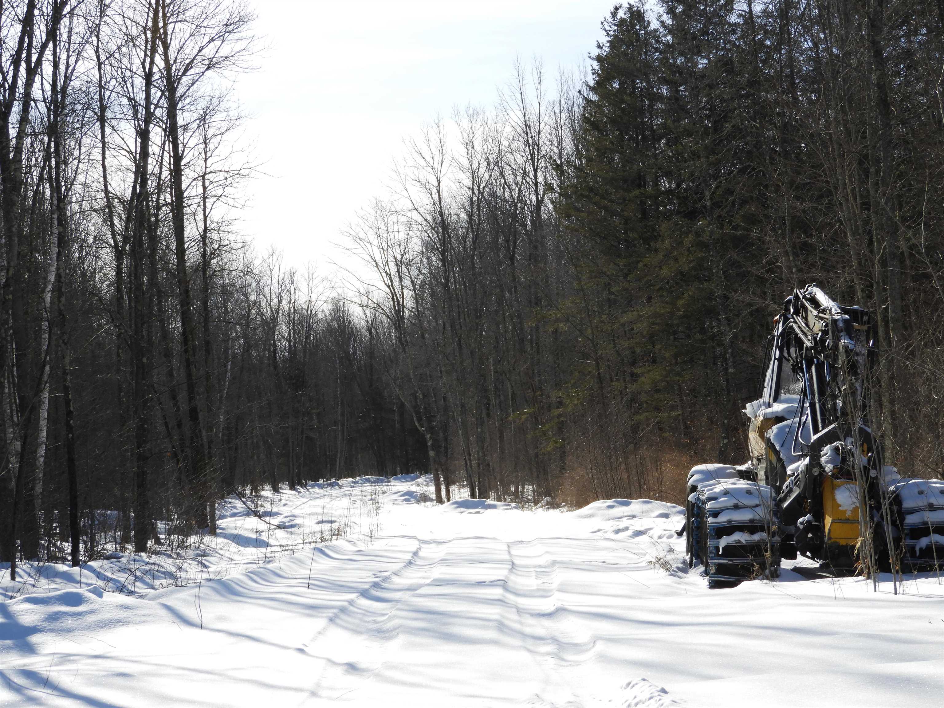 W1149X County Rd W Phillips WI 54555 - Lower S. Fork Flambeau River 6123530 image3