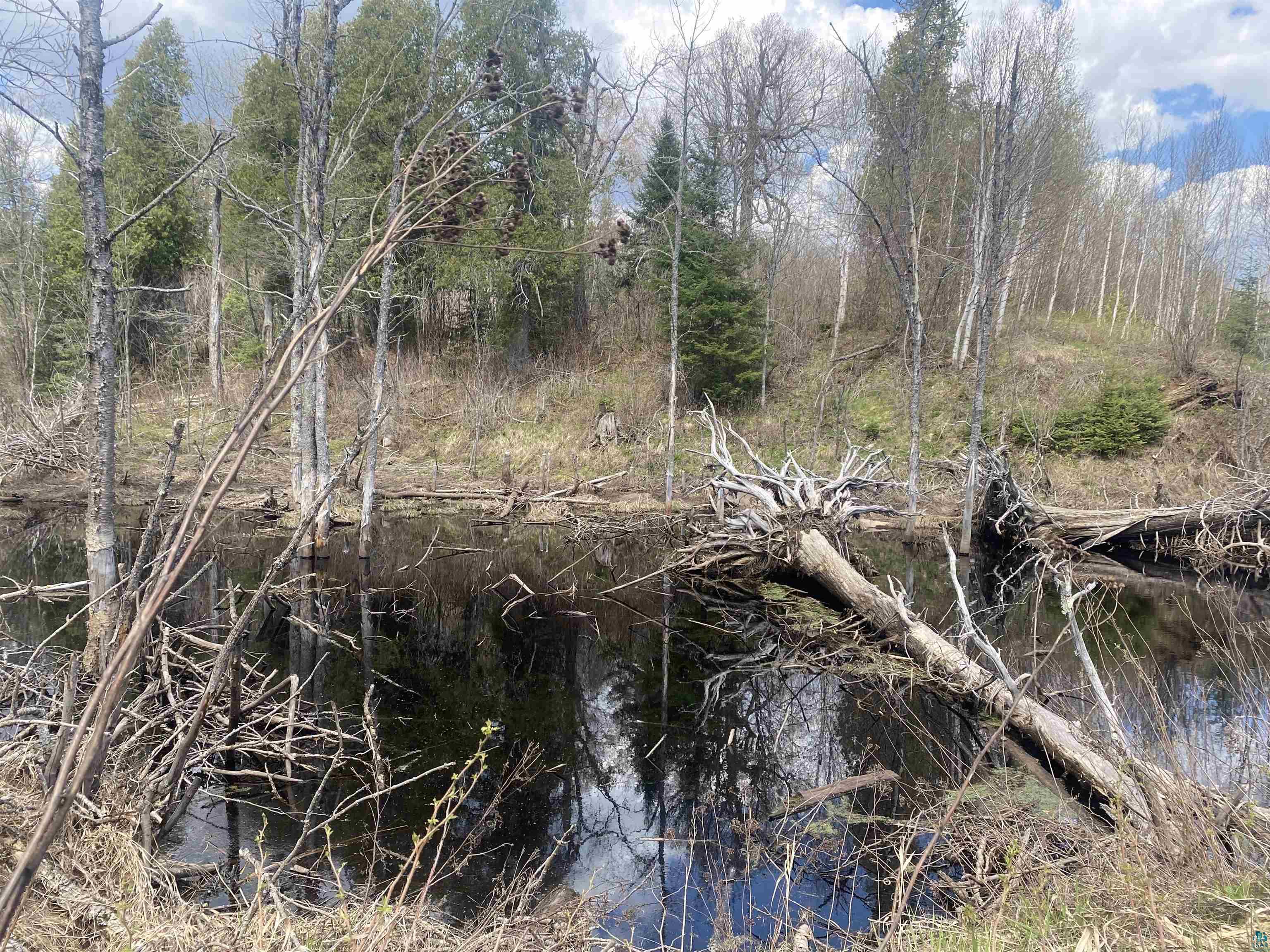 X God's Wilderness Rd, Finland, MN, 55603 MLS 6103119 Edina Realty