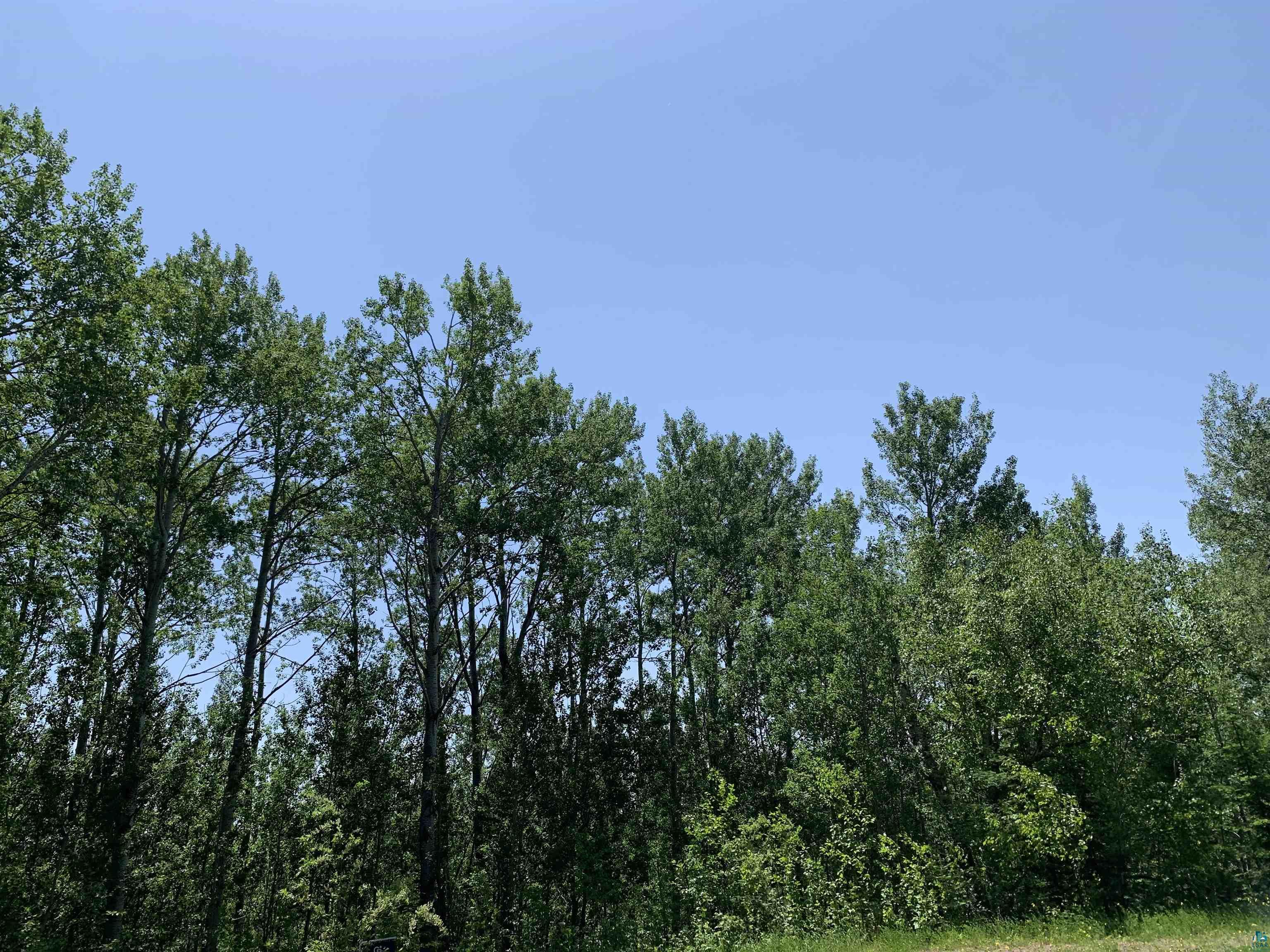 X13 Mountain Trail Grand Marais MN 55604 6102645 image1