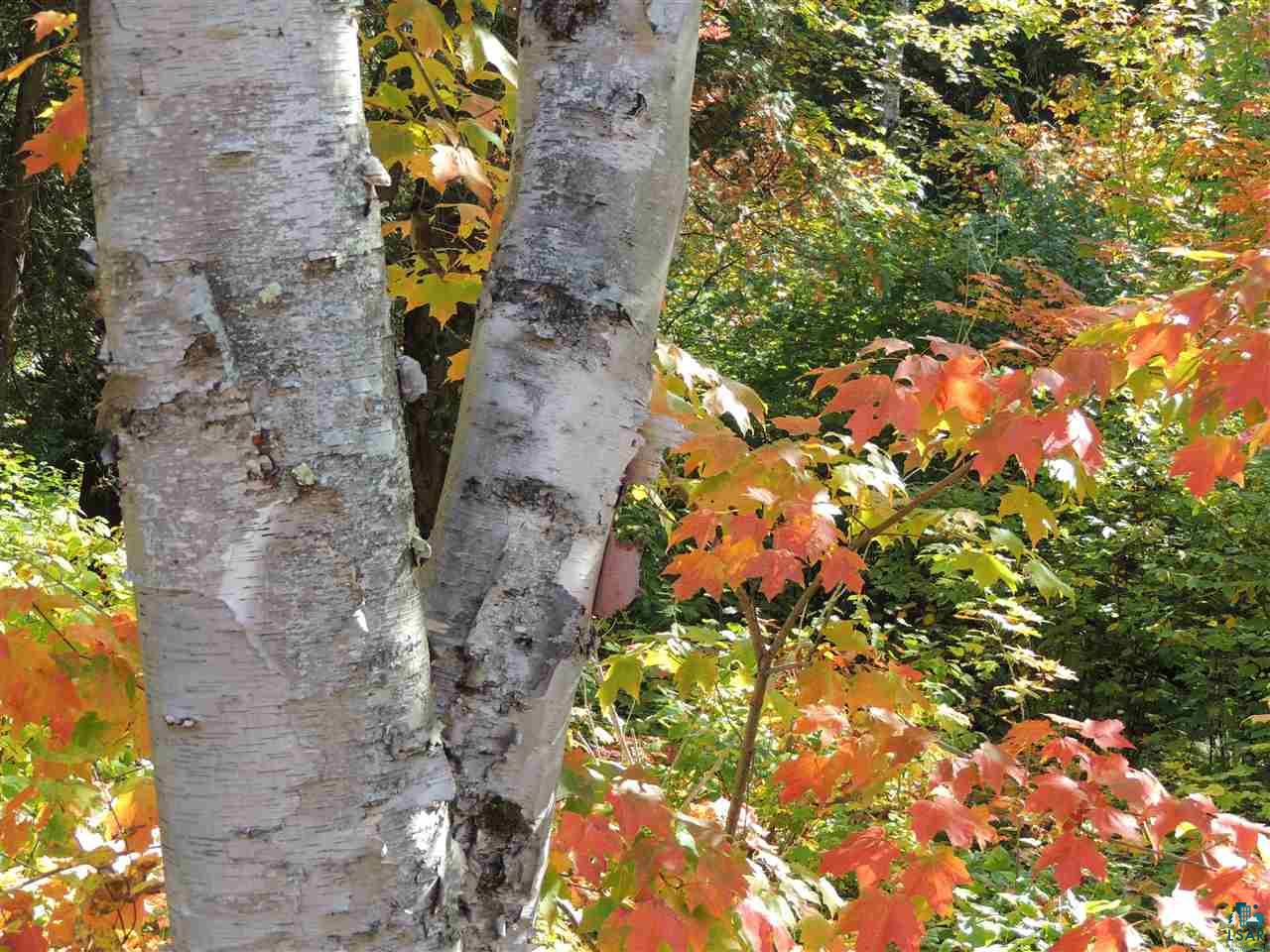 X29 Isak Ridge Rd Lutsen MN 55612 6101574 image1