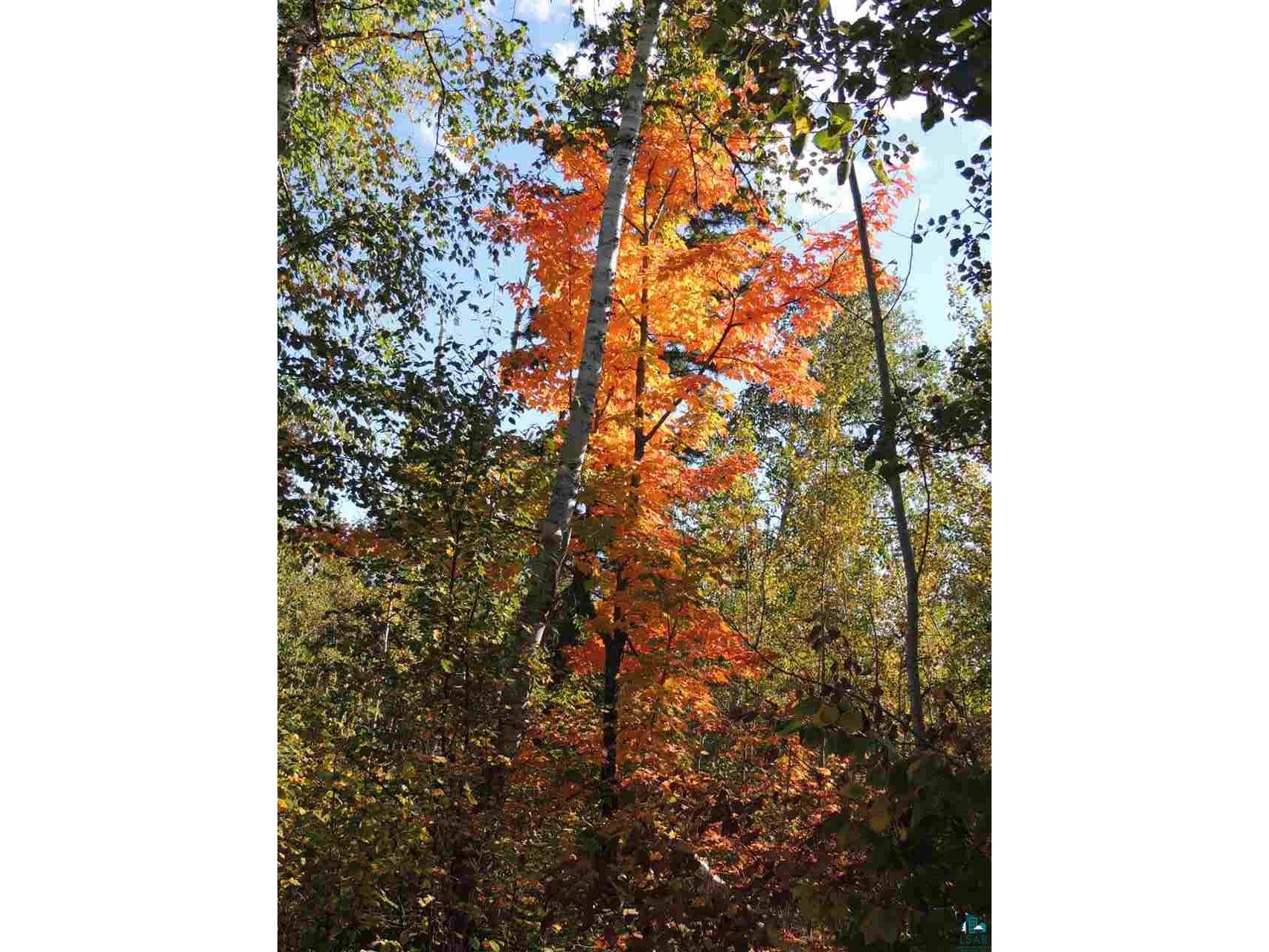 X30 Isak Ridge Rd Lutsen MN 55612 6123830 image1