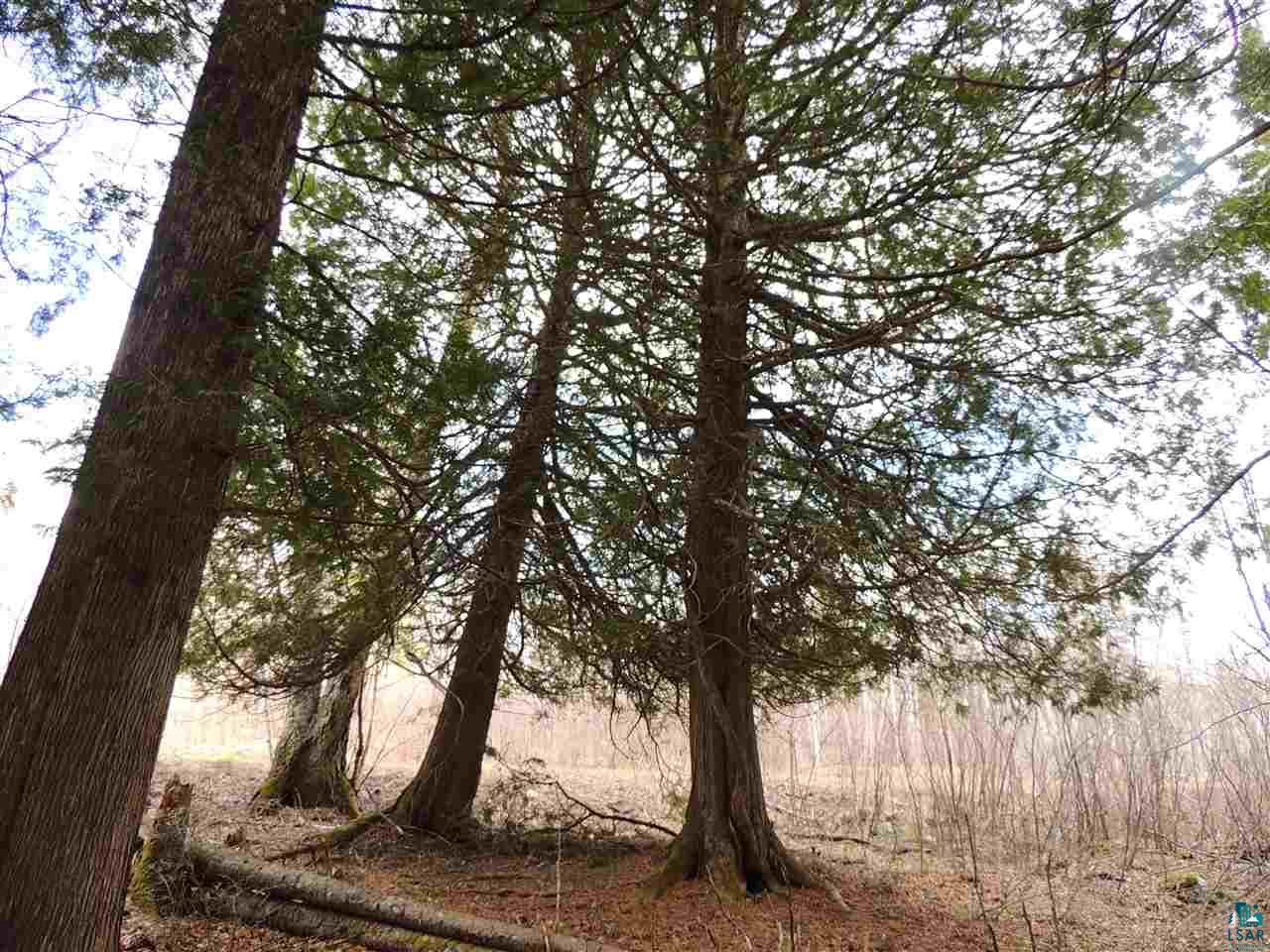 X30 Isak Ridge Rd Lutsen MN 55612 6123830 image10