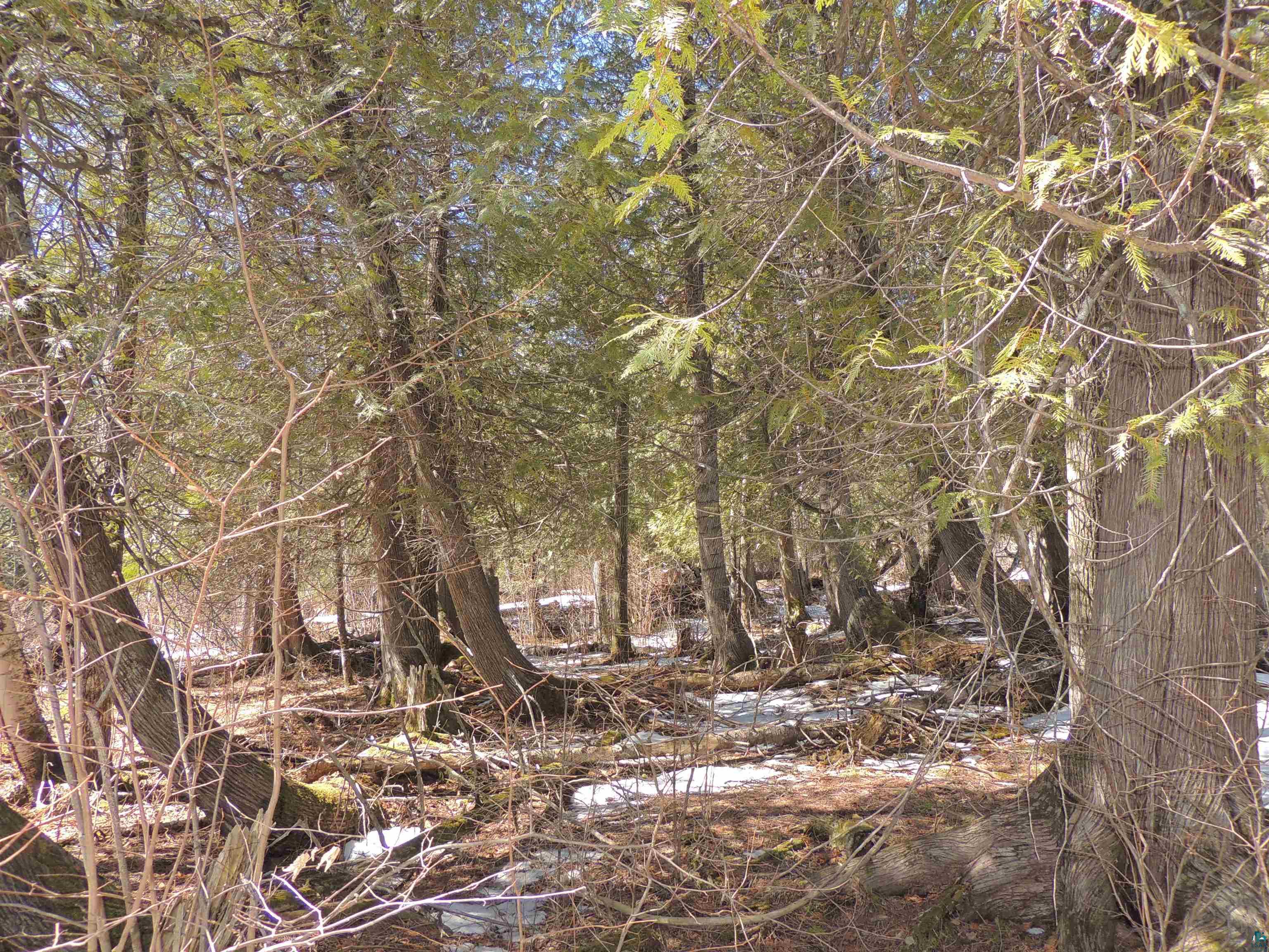 X30 Isak Ridge Rd Lutsen MN 55612 6123830 image19