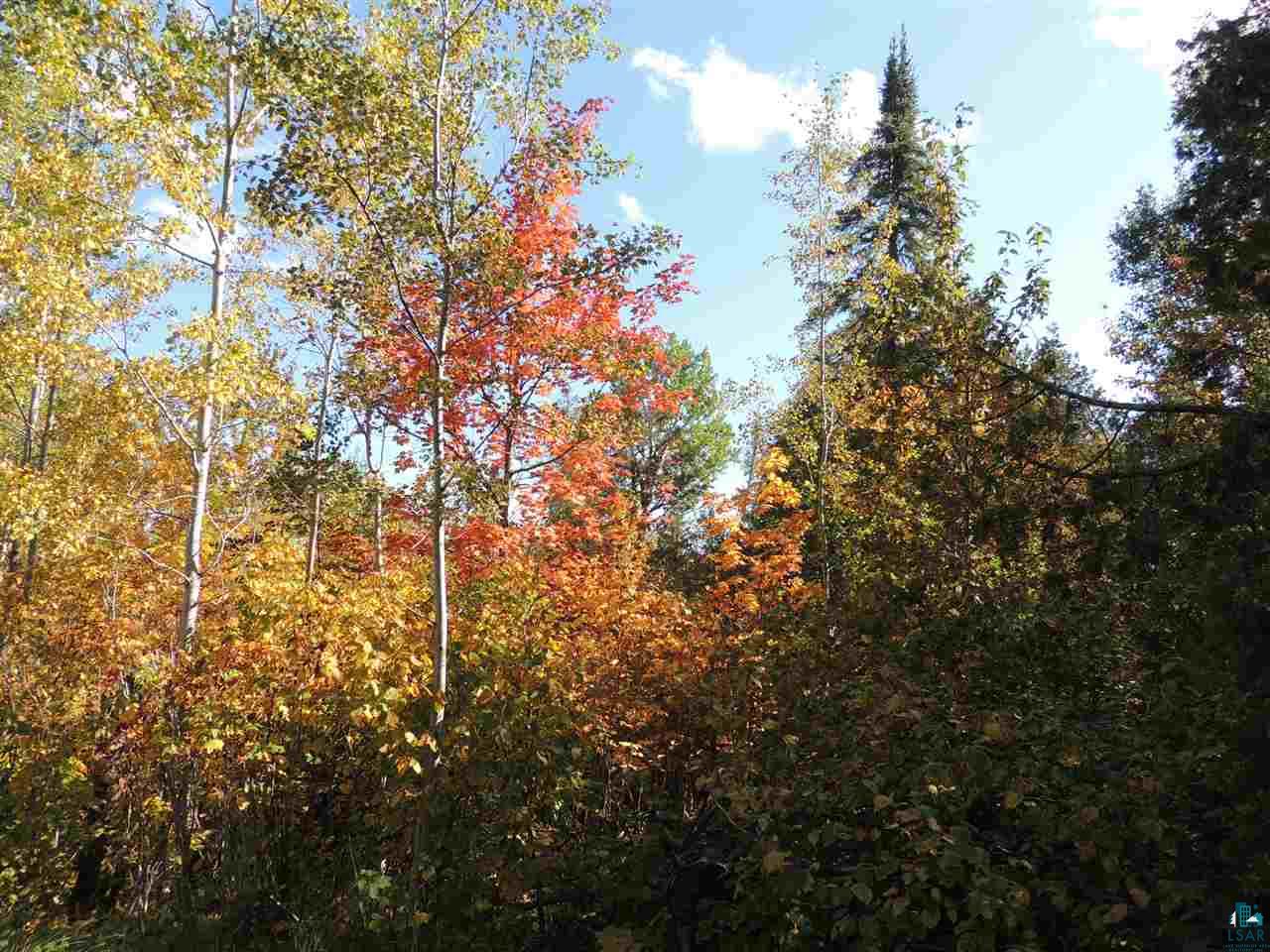 X30 Isak Ridge Rd Lutsen MN 55612 6123830 image2