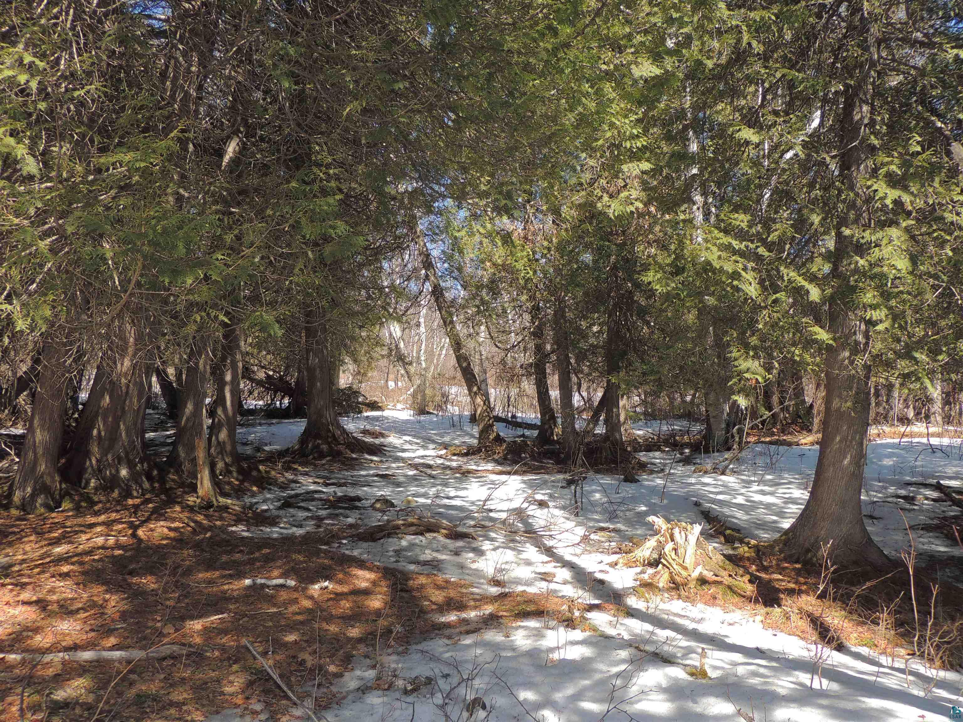 X30 Isak Ridge Rd Lutsen MN 55612 6123830 image25