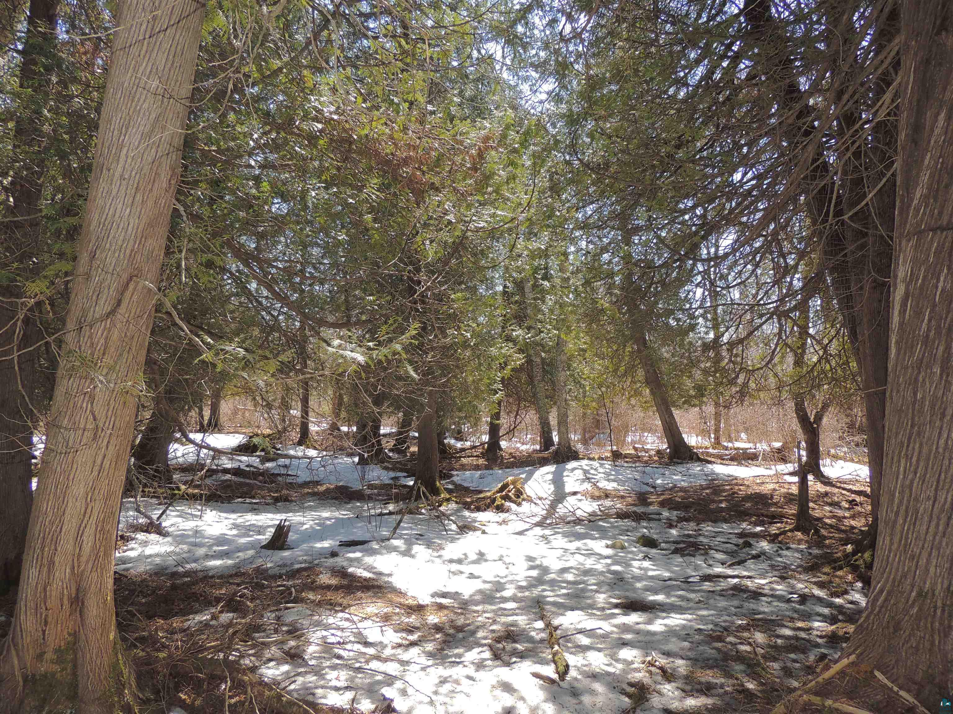 X30 Isak Ridge Rd Lutsen MN 55612 6123830 image26