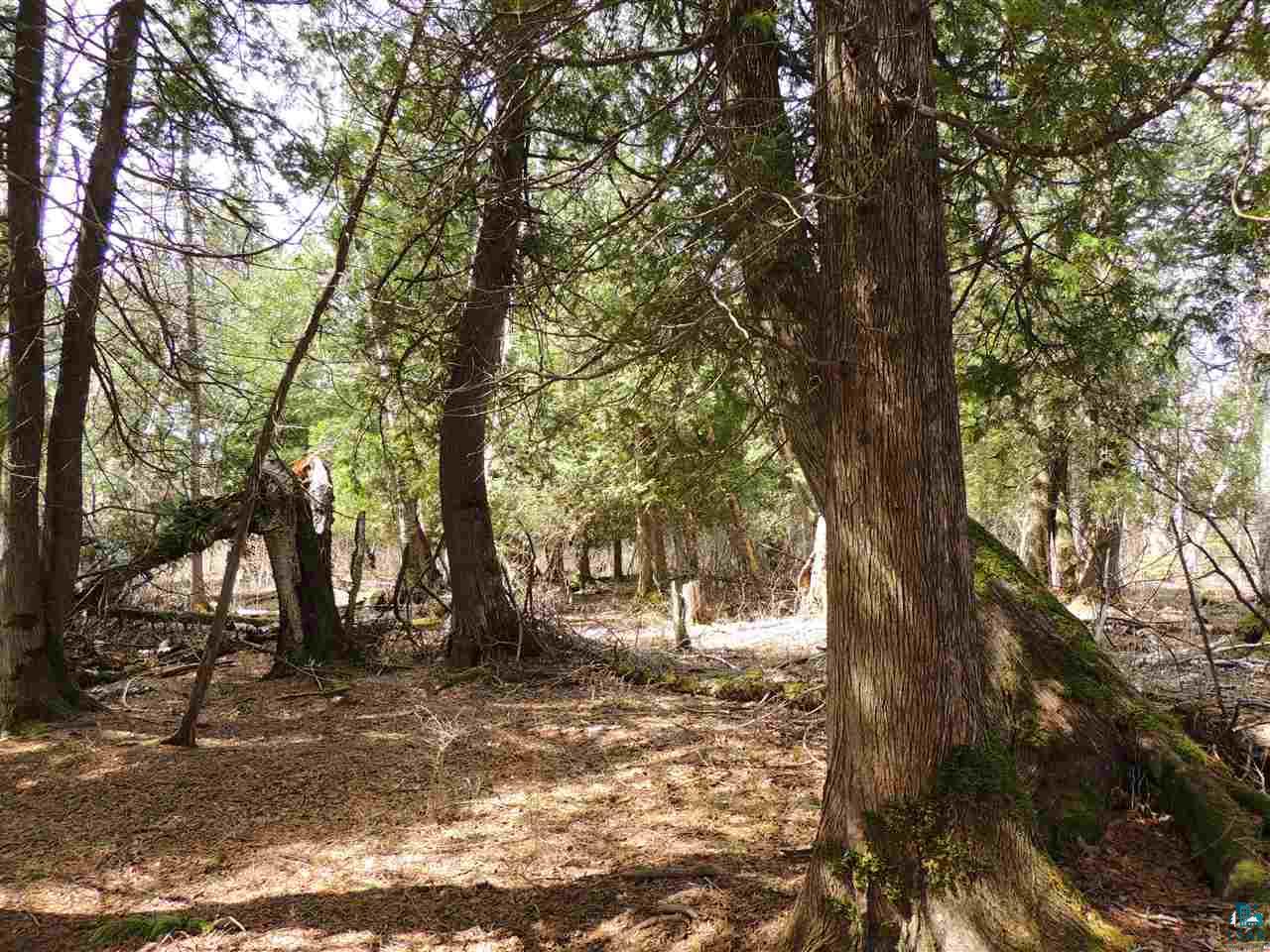 X30 Isak Ridge Rd Lutsen MN 55612 6123830 image3